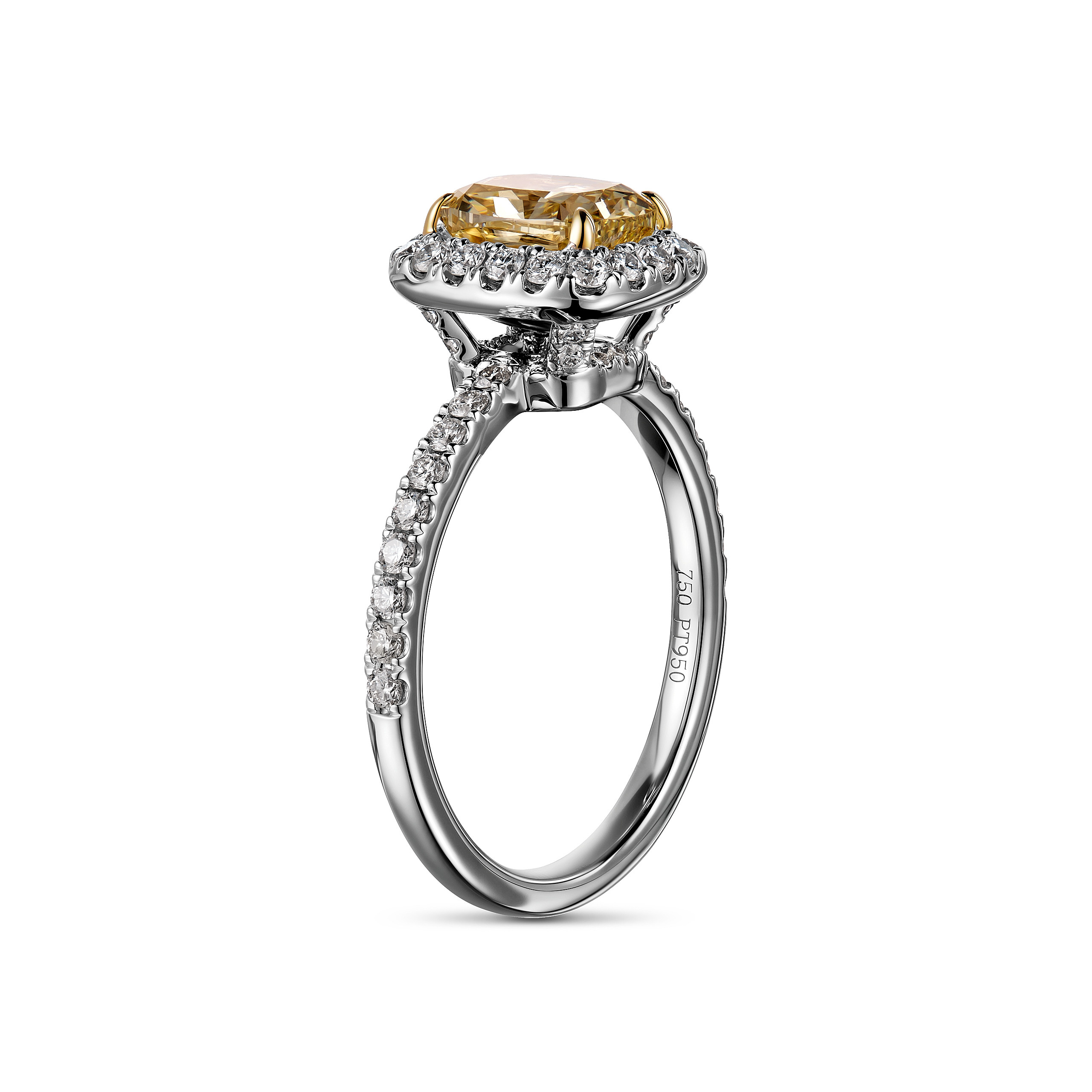 FARRO / ALMATY. KAZAKHSTAN