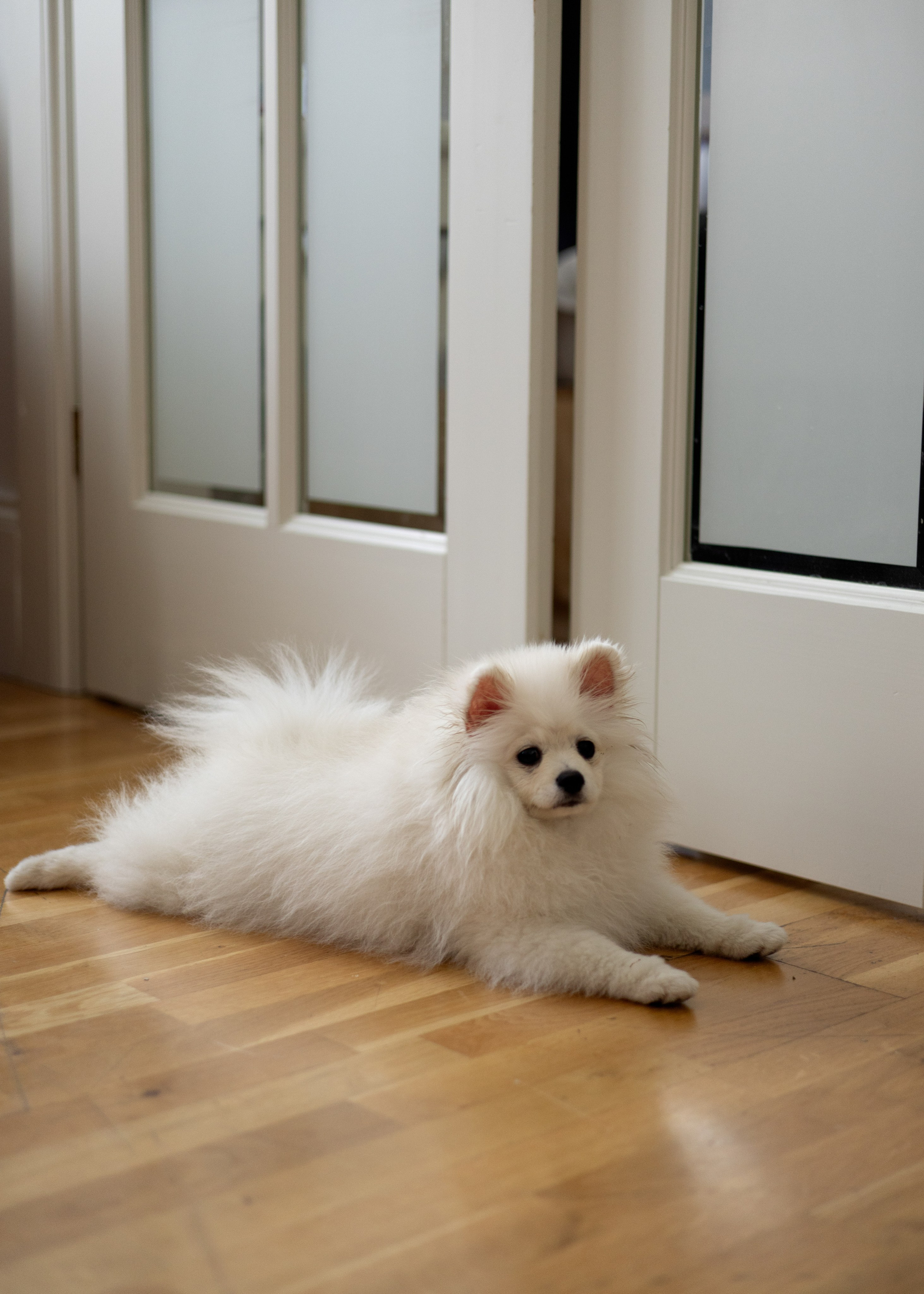 Свадьба Карина и Никиты в Усадьбе. Фотограф в Калининграде Сокирко Светлана