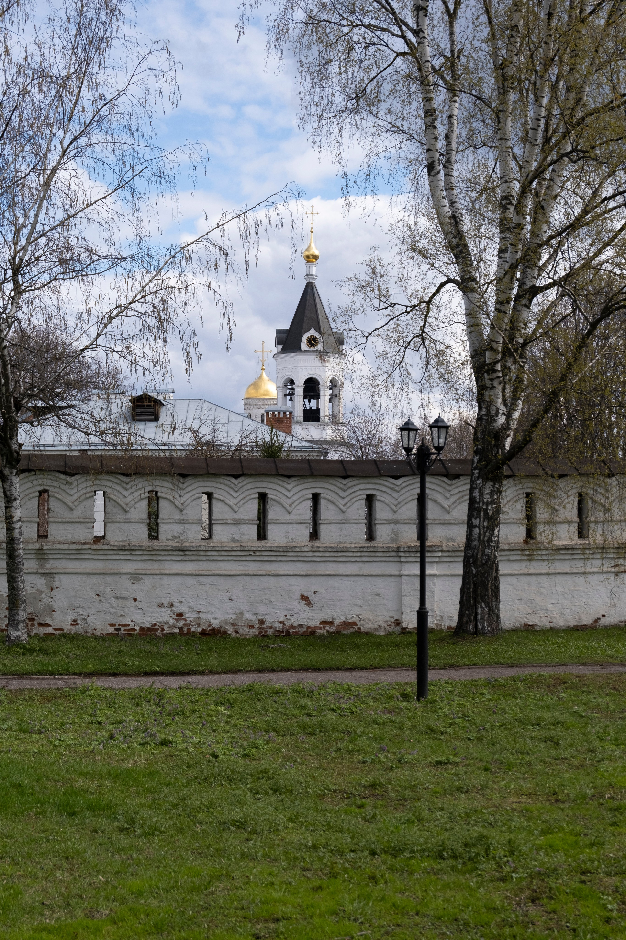 Владимир. Фотографии города, архитектуры, цветов, макро, кошек. Москва