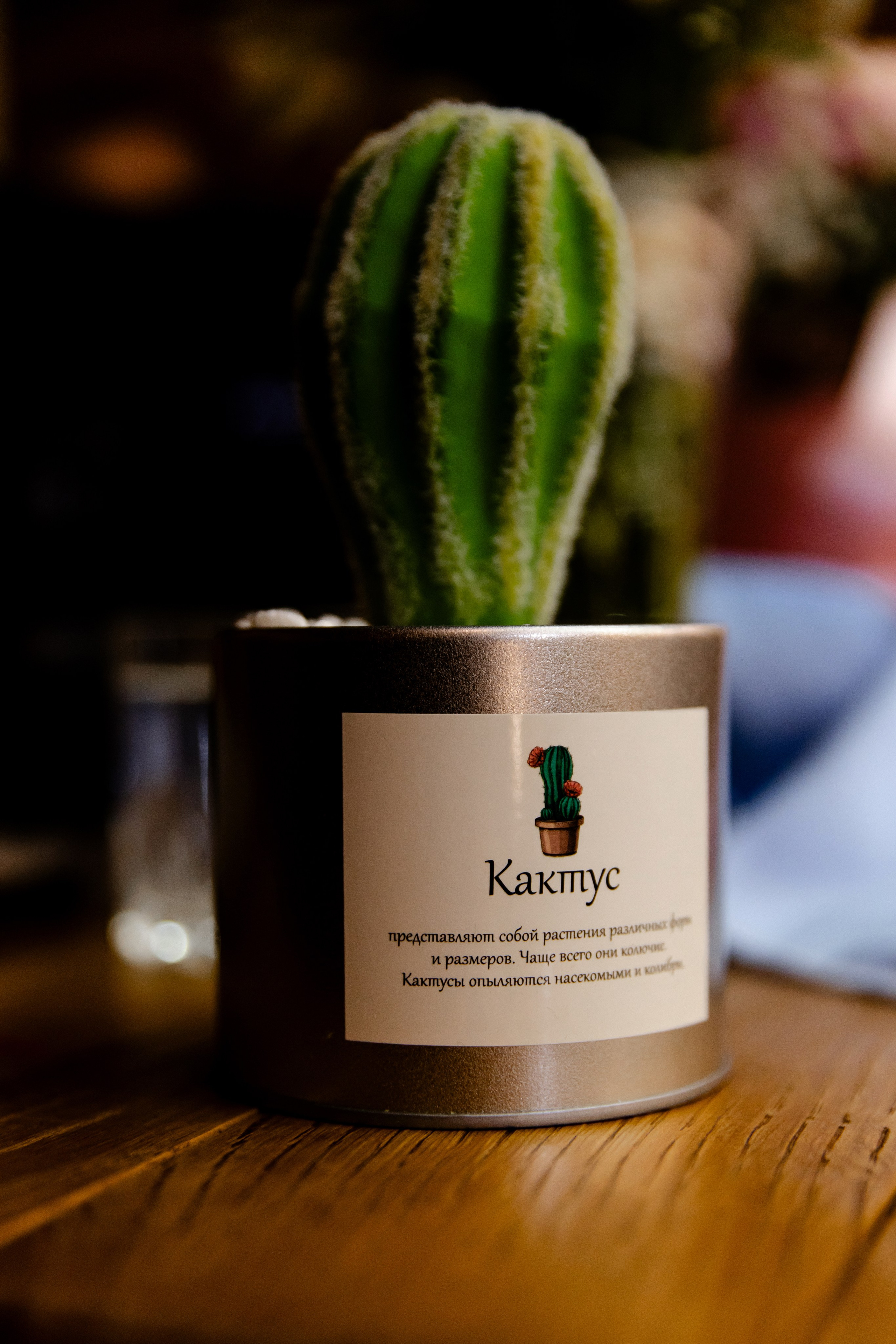 Антон и Наташа. Свадебный фотограф Анна Бабахина