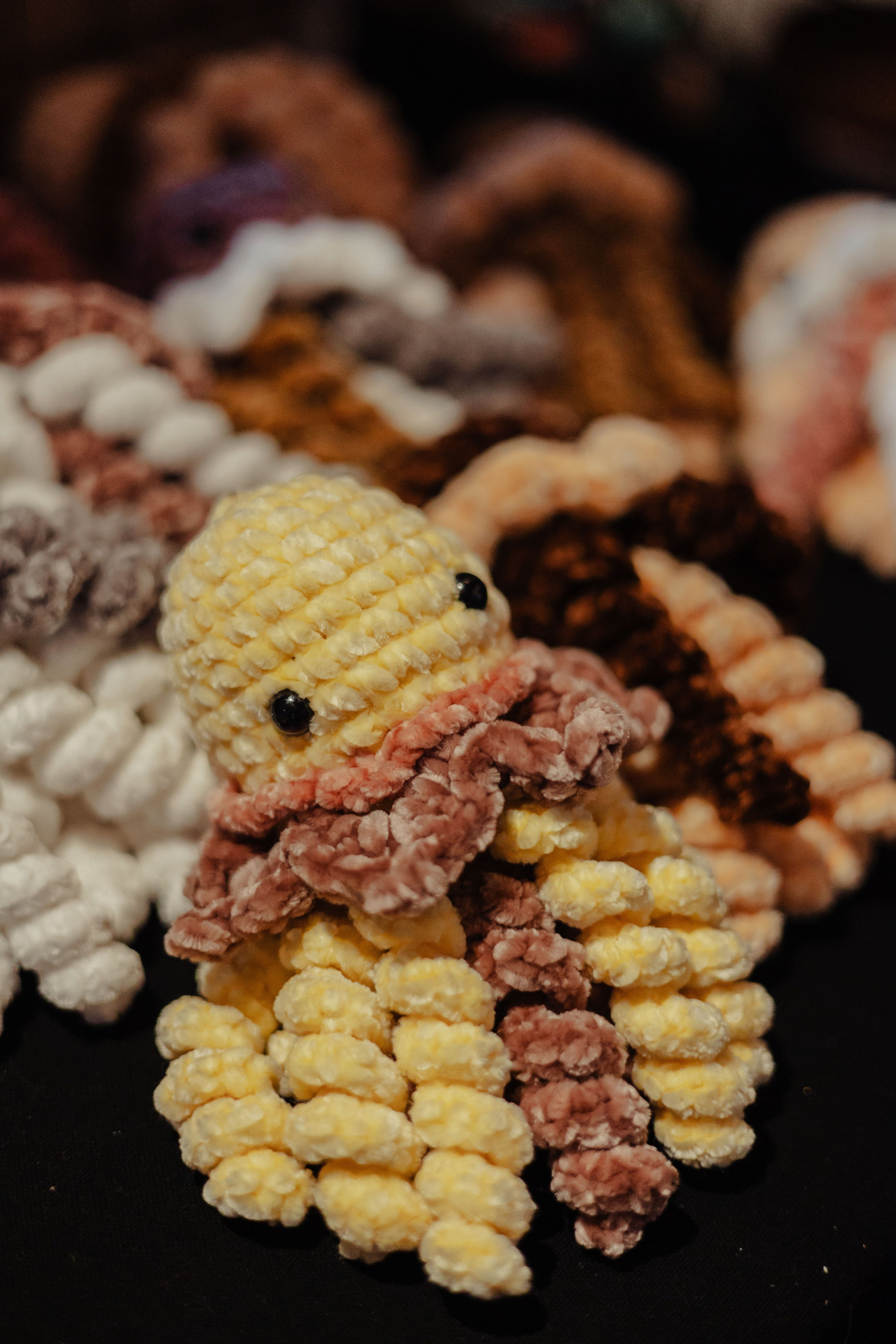 Арт-Маркет ВОЛЧОК. Фотограф Анималист Екатерина Справцева в Нижнем Новгороде