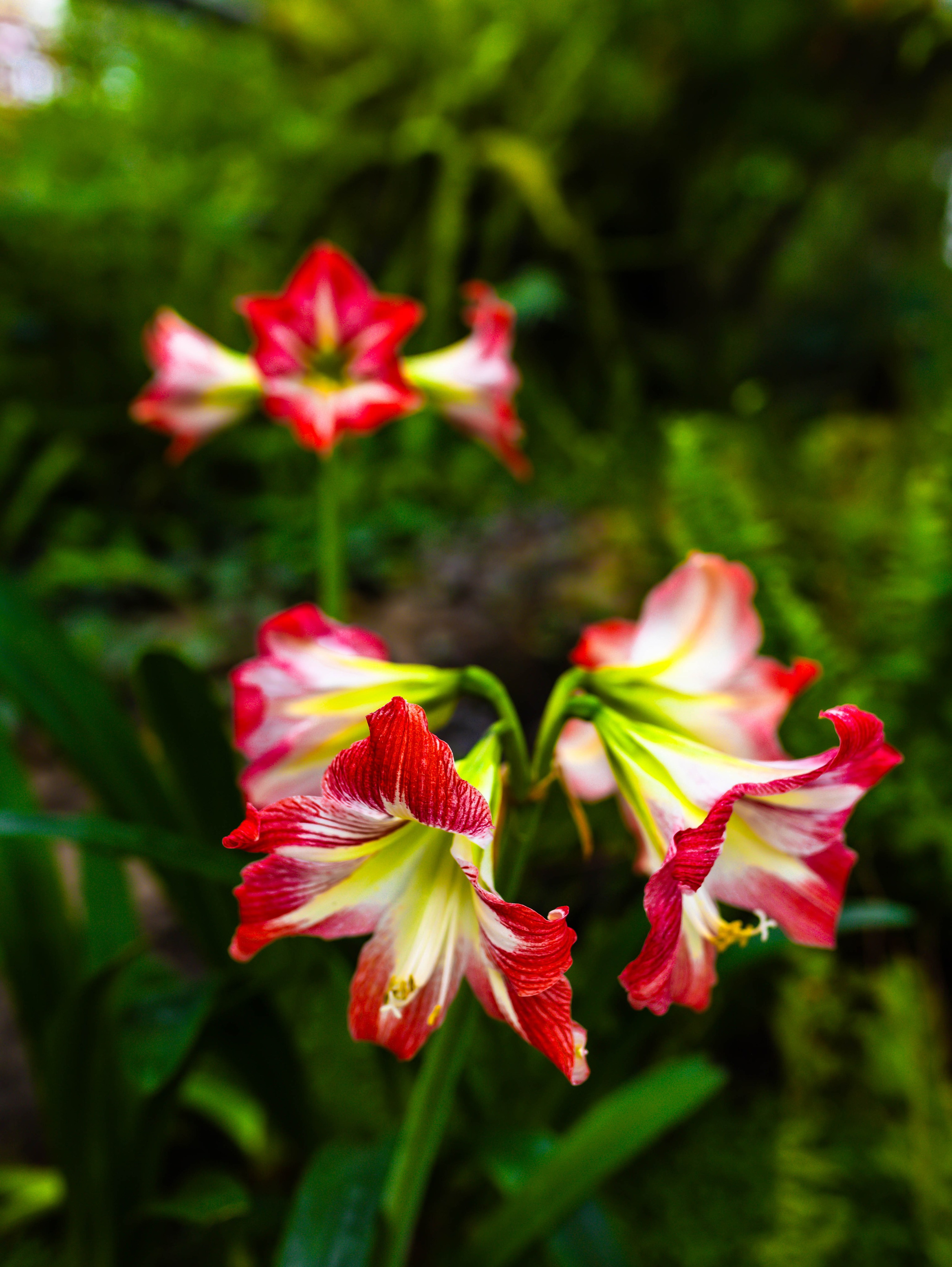Фотографии природы Липецка. Свадебный и семейный фотограф Виолетта в Липецке