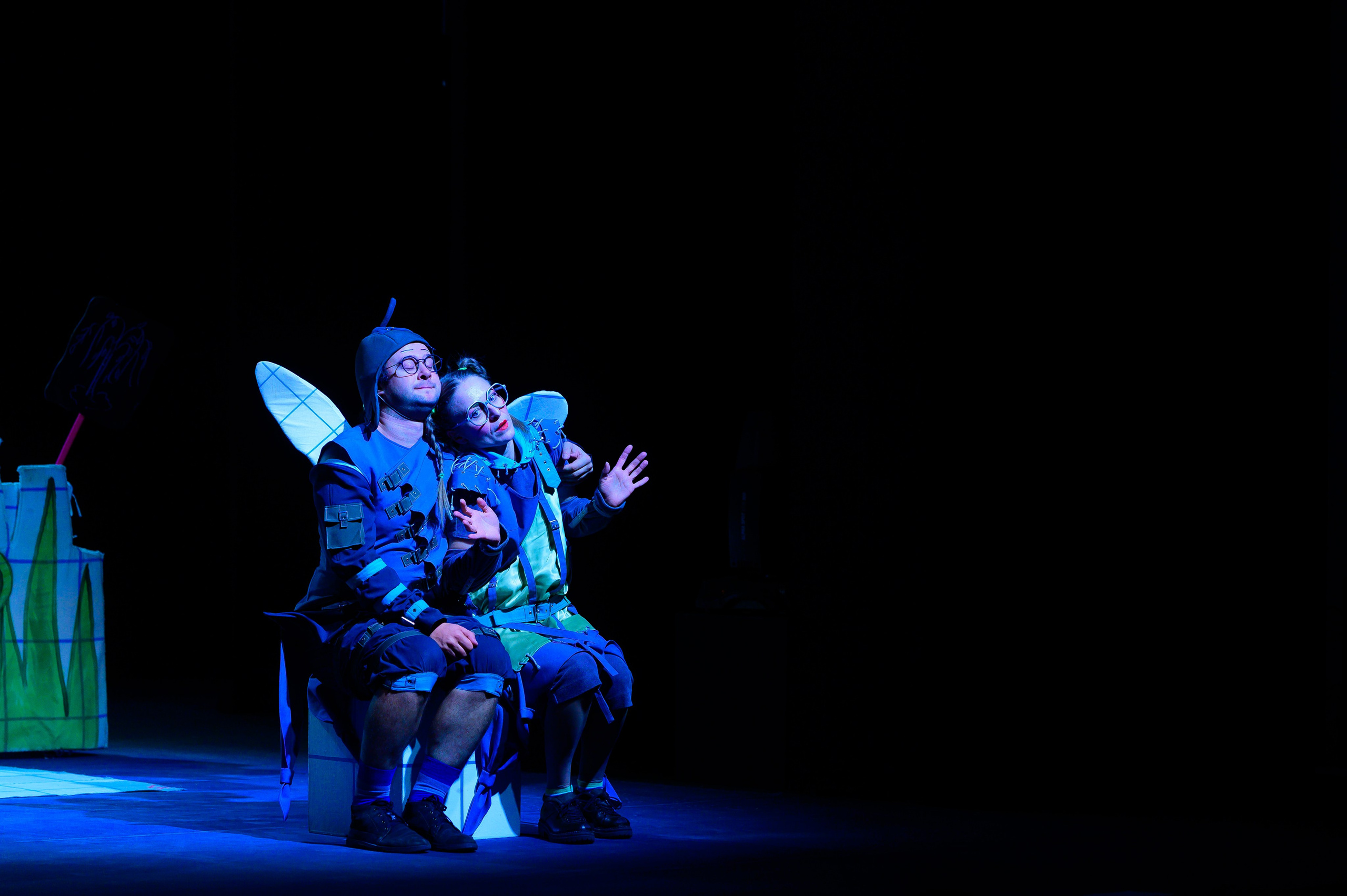 Муха Цокотуха. Фотоуслуги, услуги фотографа, фотографирование важных событий