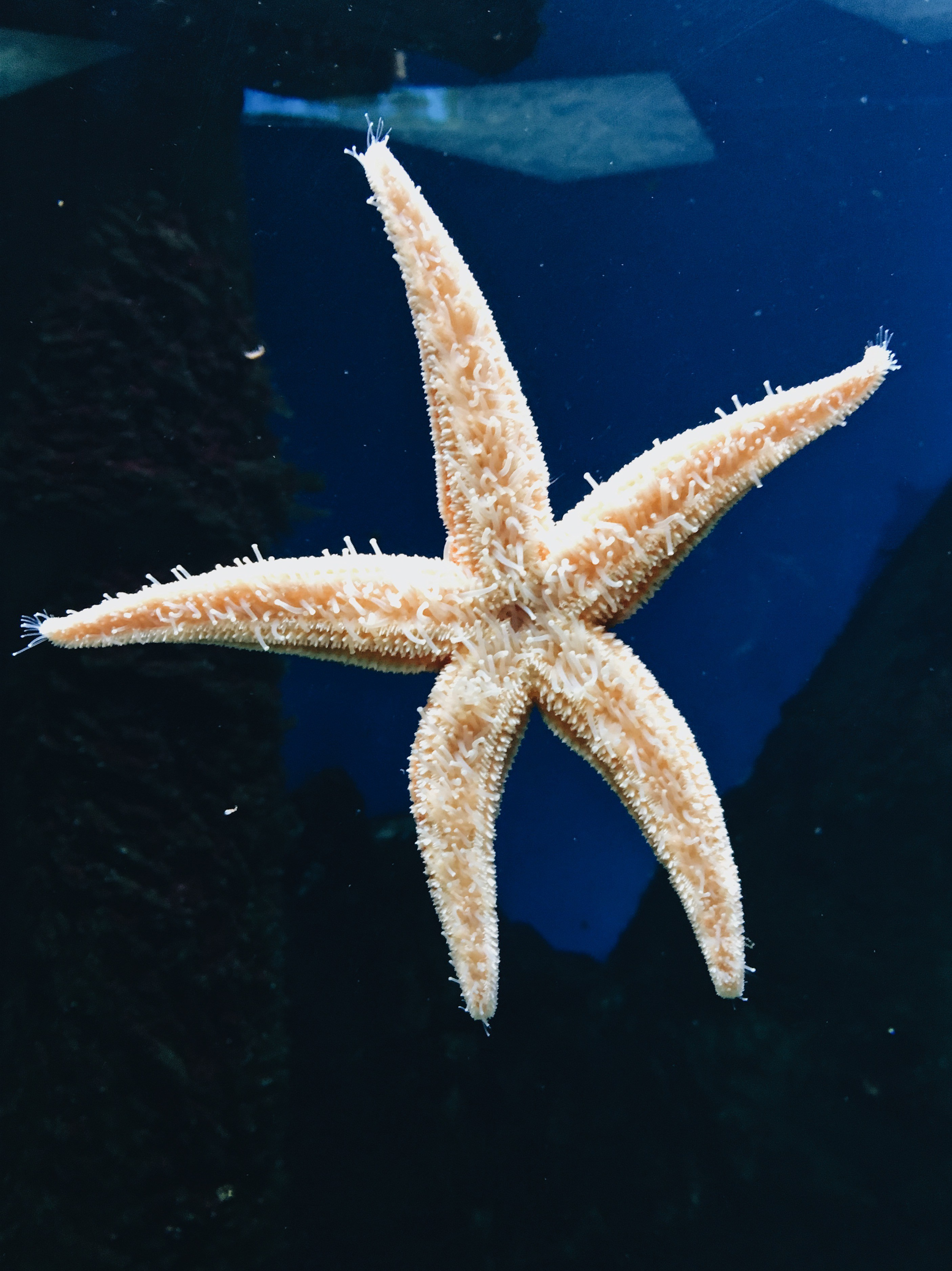 Визуальный дневник. Портретный фотограф в Москве Гахраманова Екатерина