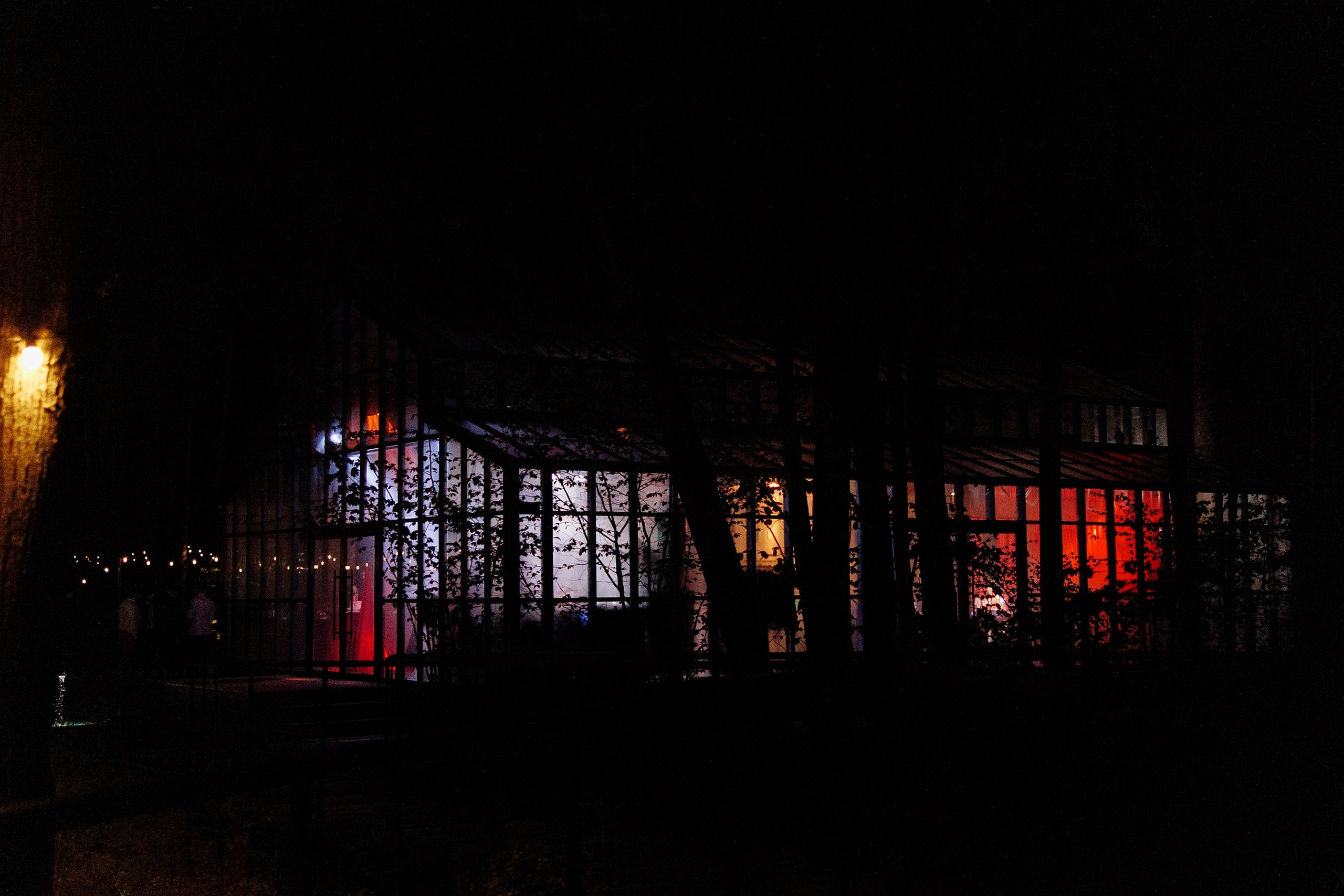 Лиза и Олег. Свадебный и семейный фотограф Ольга Сморжанюк