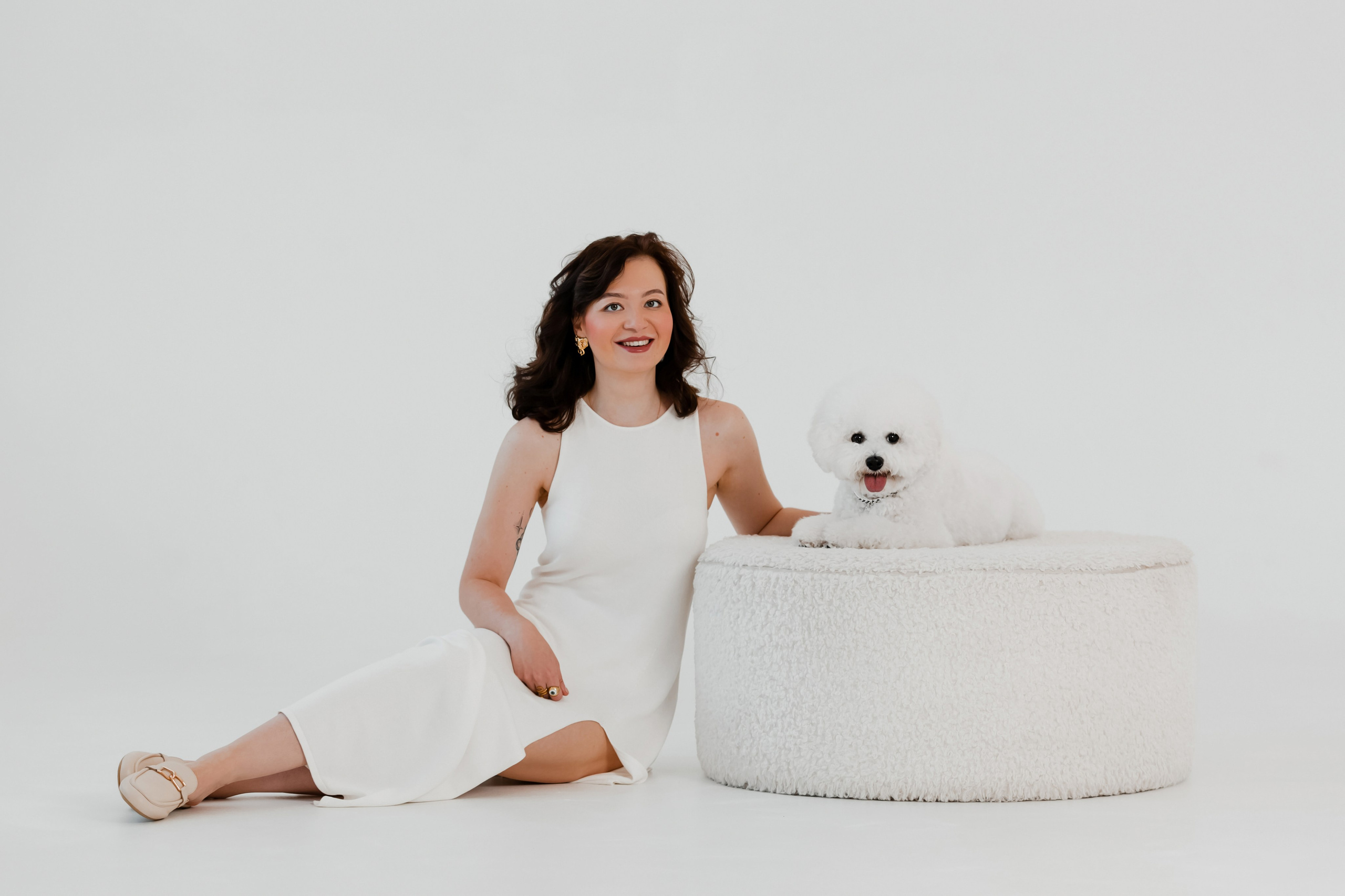 Бишон-фризе. Фотограф-анималист в Краснодаре Маша Мельникова