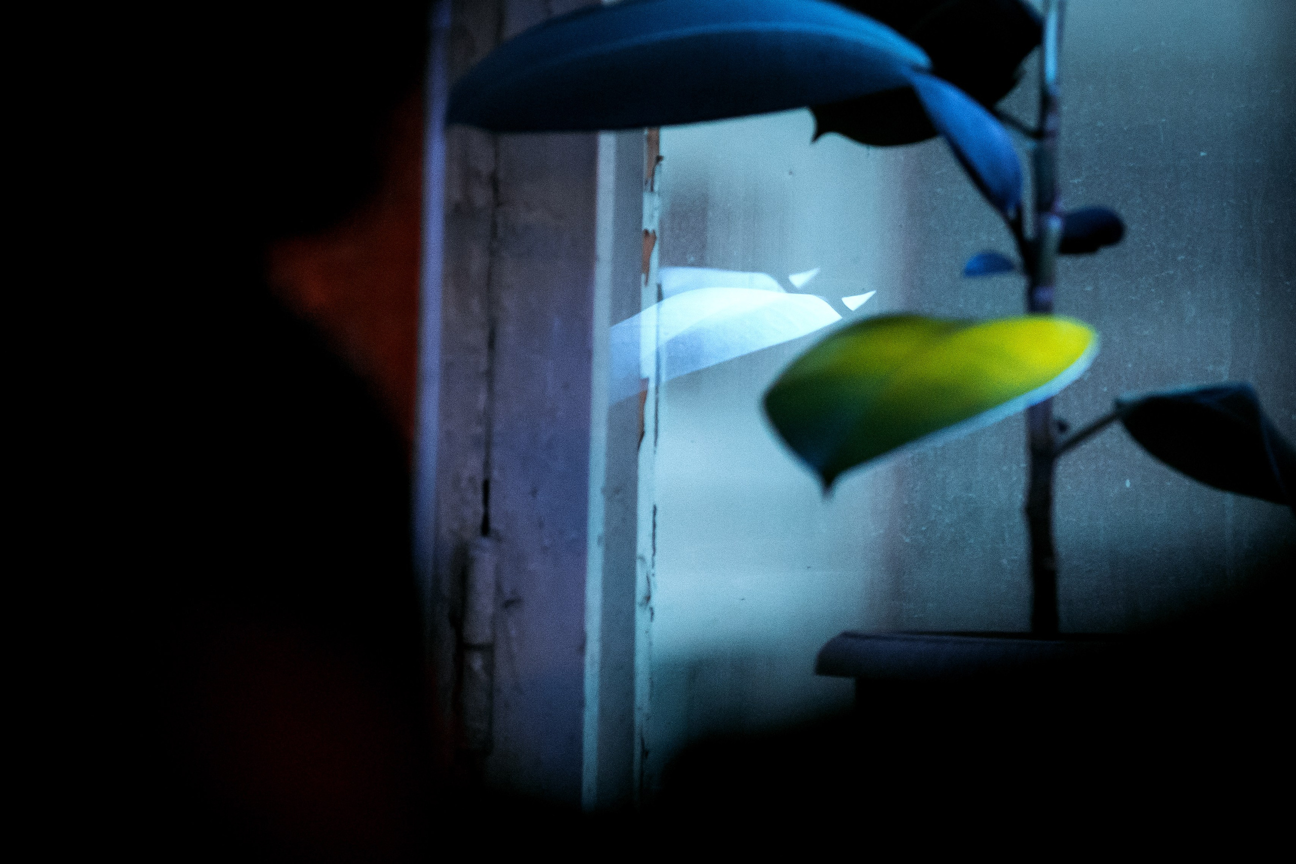 In.spyral. Фотограф Елена Богачева (lenalena_na_na_na)