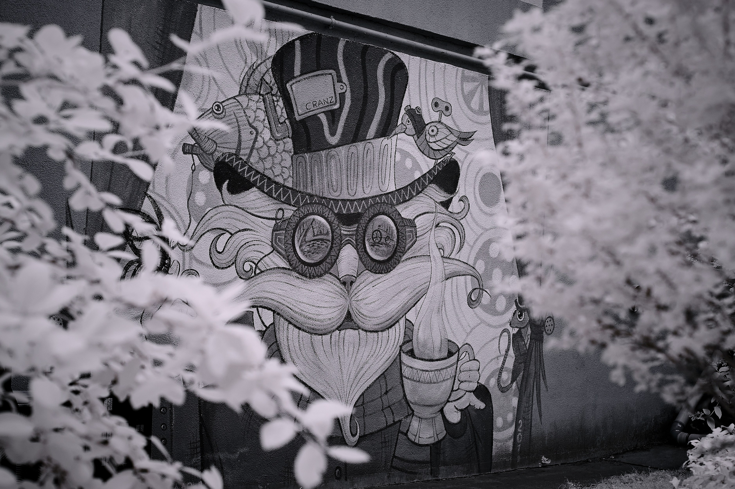 Infrared Photography. Solofilms