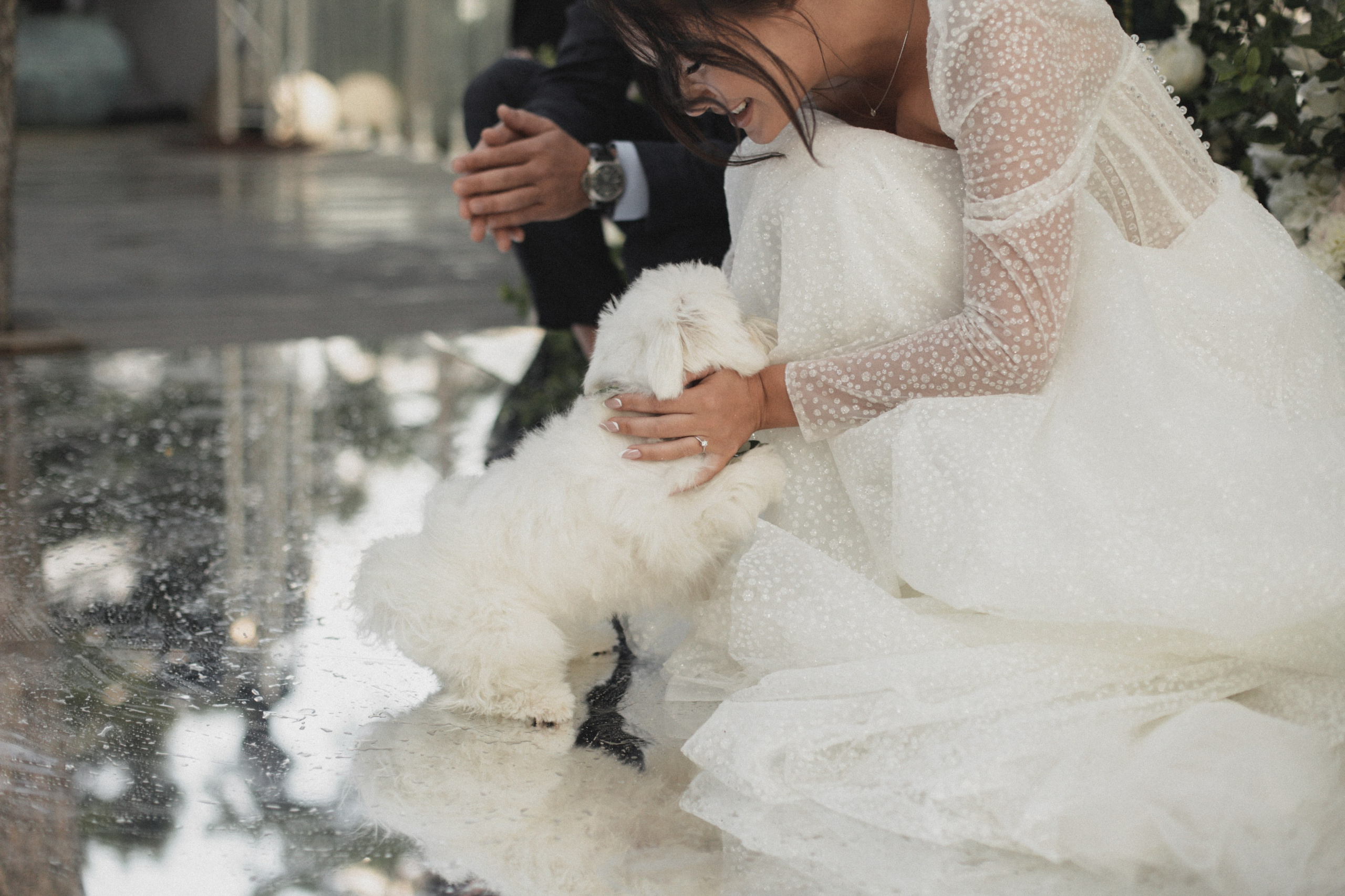 Свадьба в Паласе. Фотограф в Севастополе и Крыму Артем Волобуев