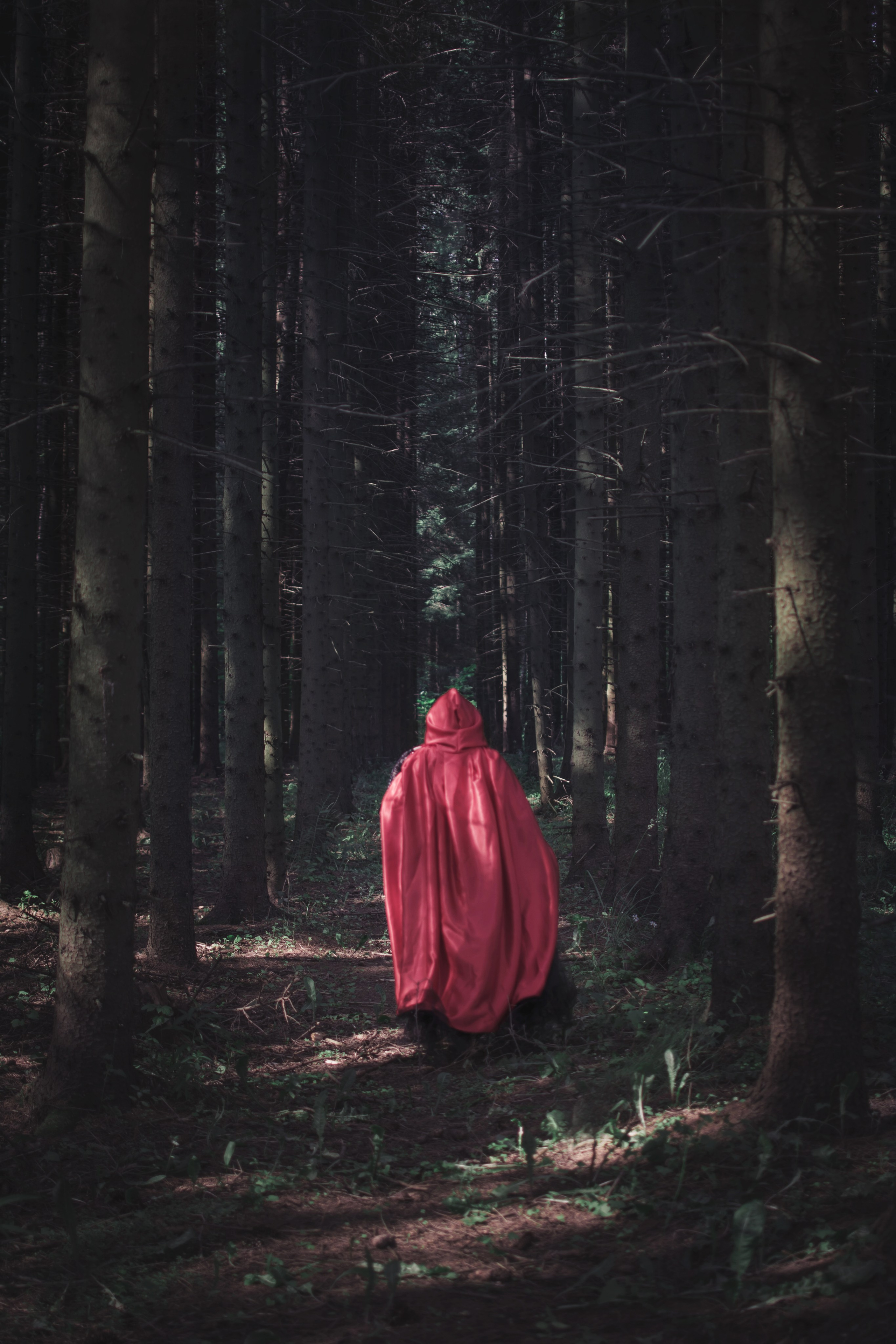 Черный ворон. Детский и семейный фотограф в Волоколамске Ирина Шарова