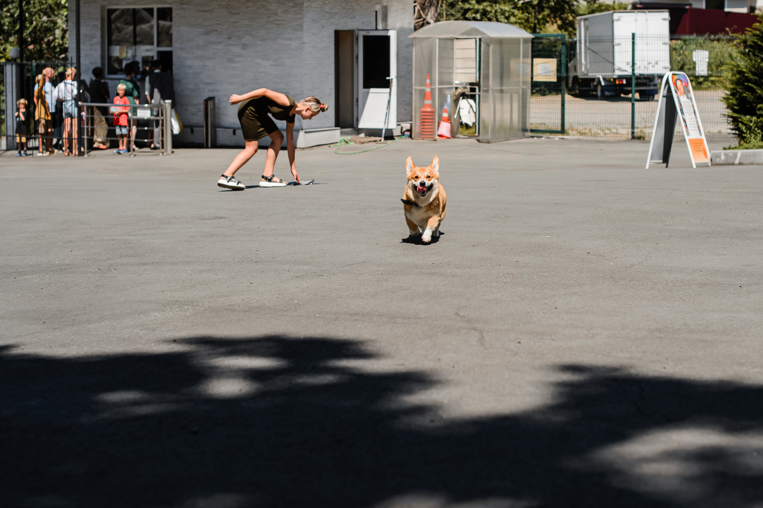 #СанясАней. Фотограф Владивосток. Игорь Кирсанов