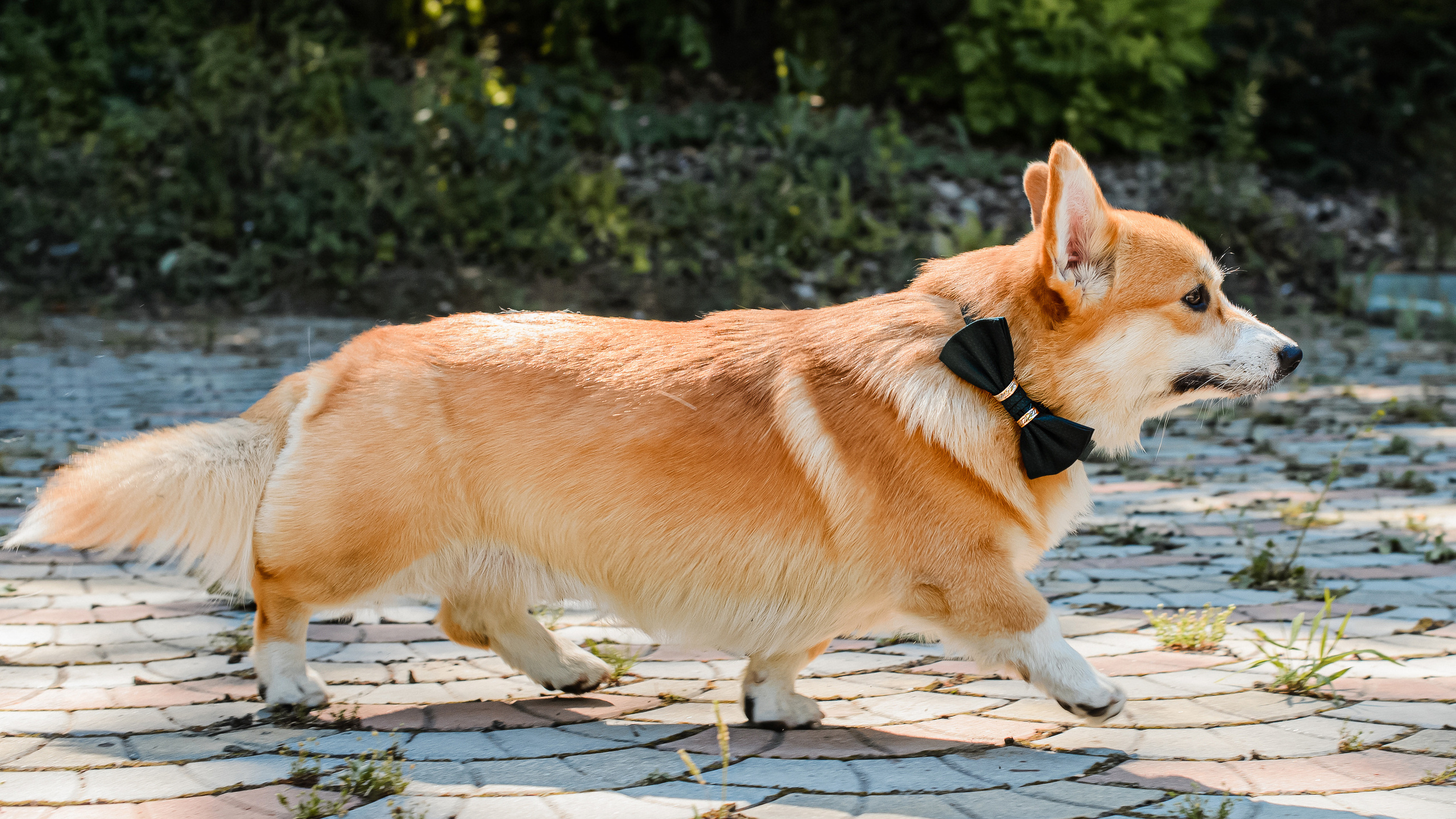 #СанясАней. Фотограф Владивосток. Игорь Кирсанов