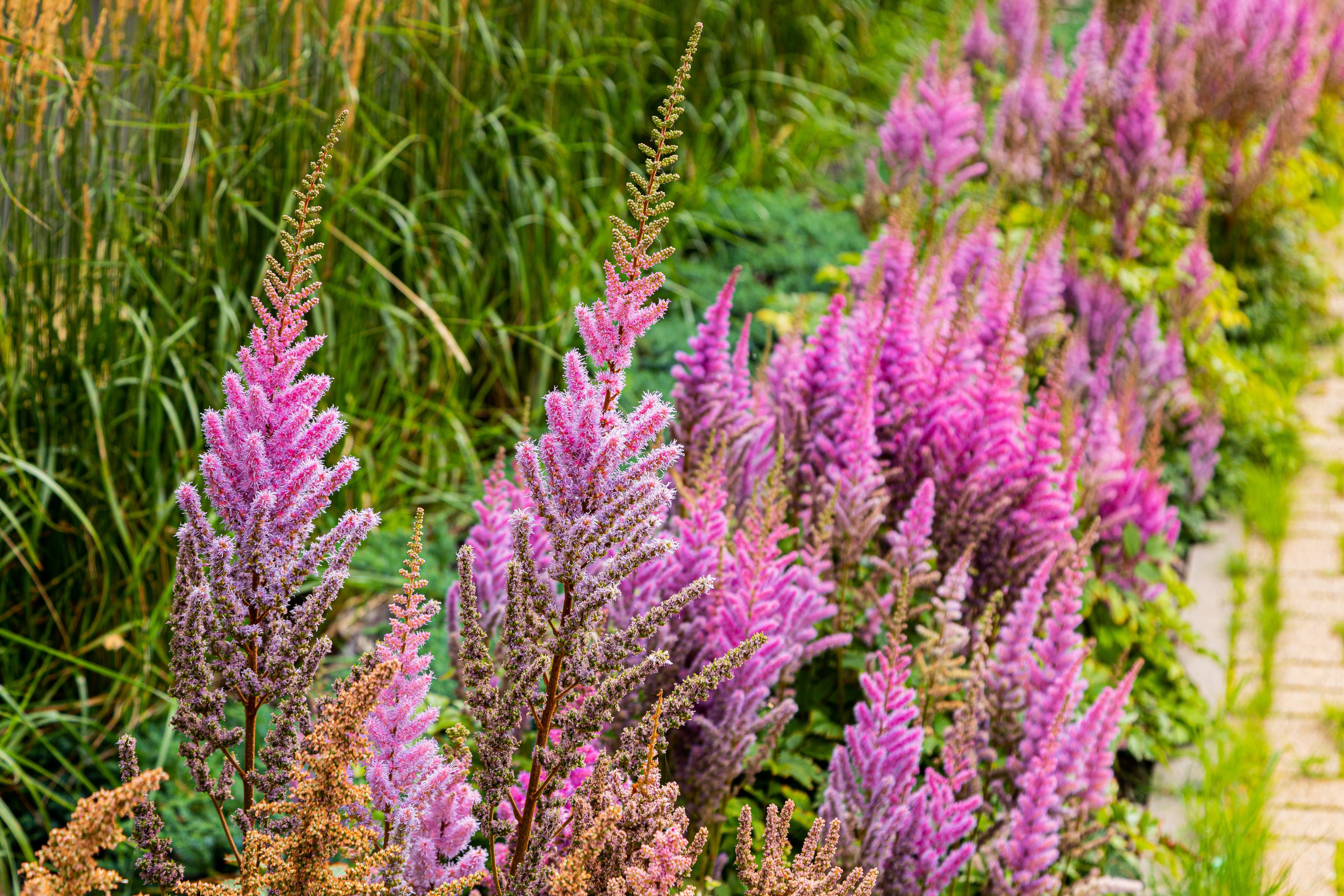 Квартира на продажу. Главная