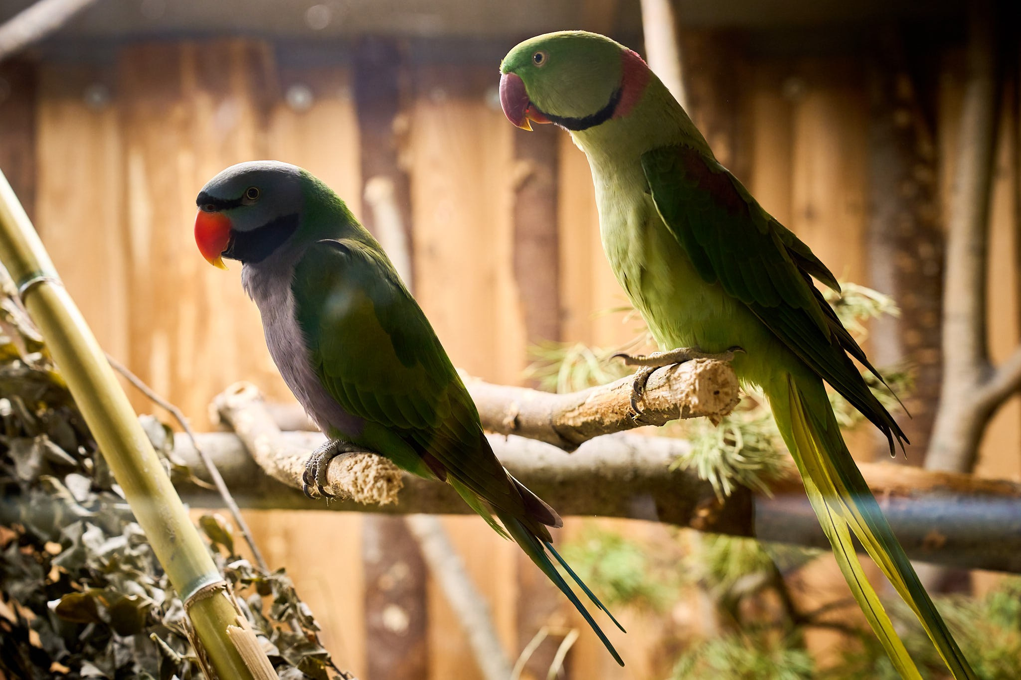 ZOO. ФОТОГРАФ ЕКАТЕРИНБУРГ