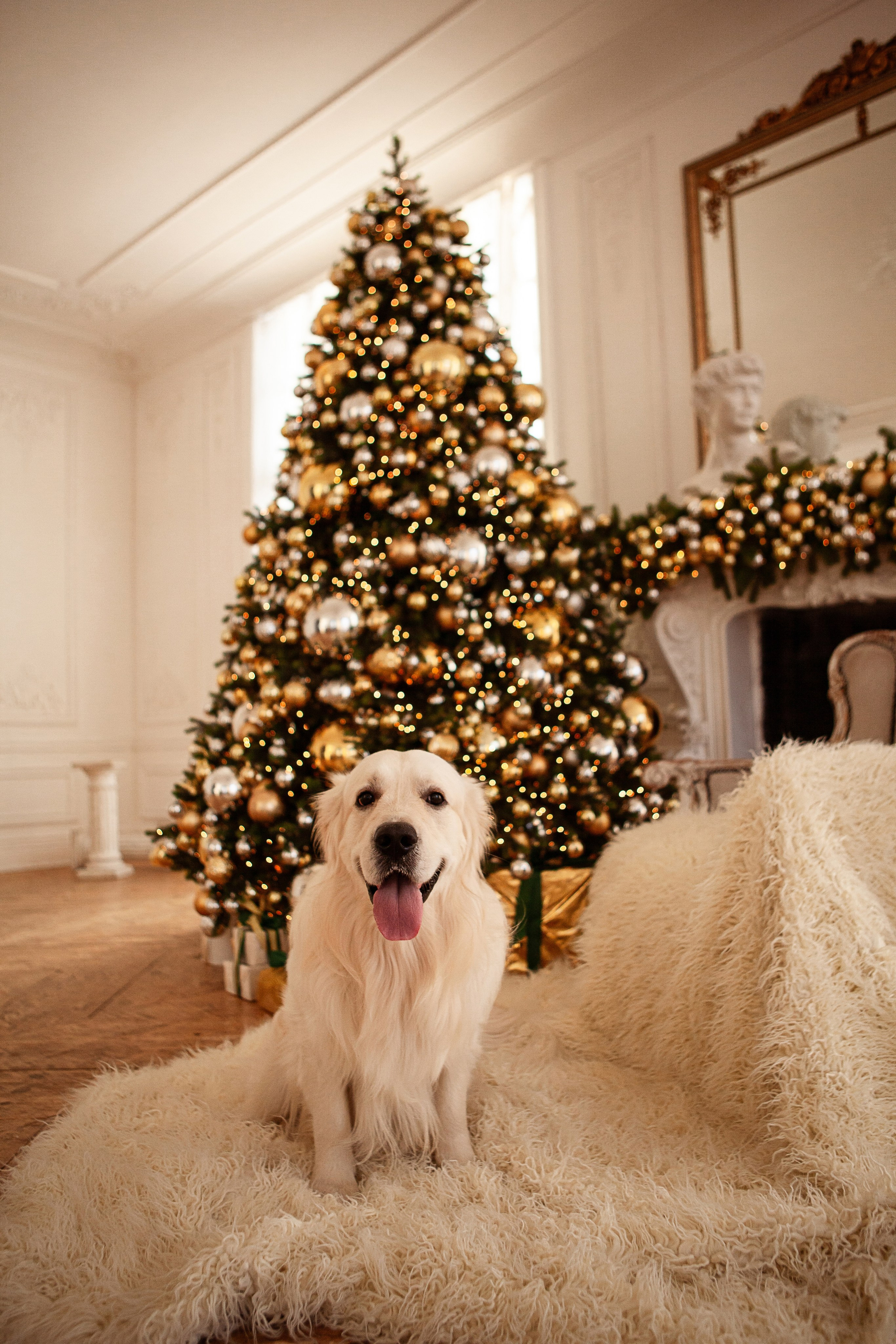 Владислава. Свадебный фотограф в СПБ | Санкт-Петербурге Анастасия Рахимгулова