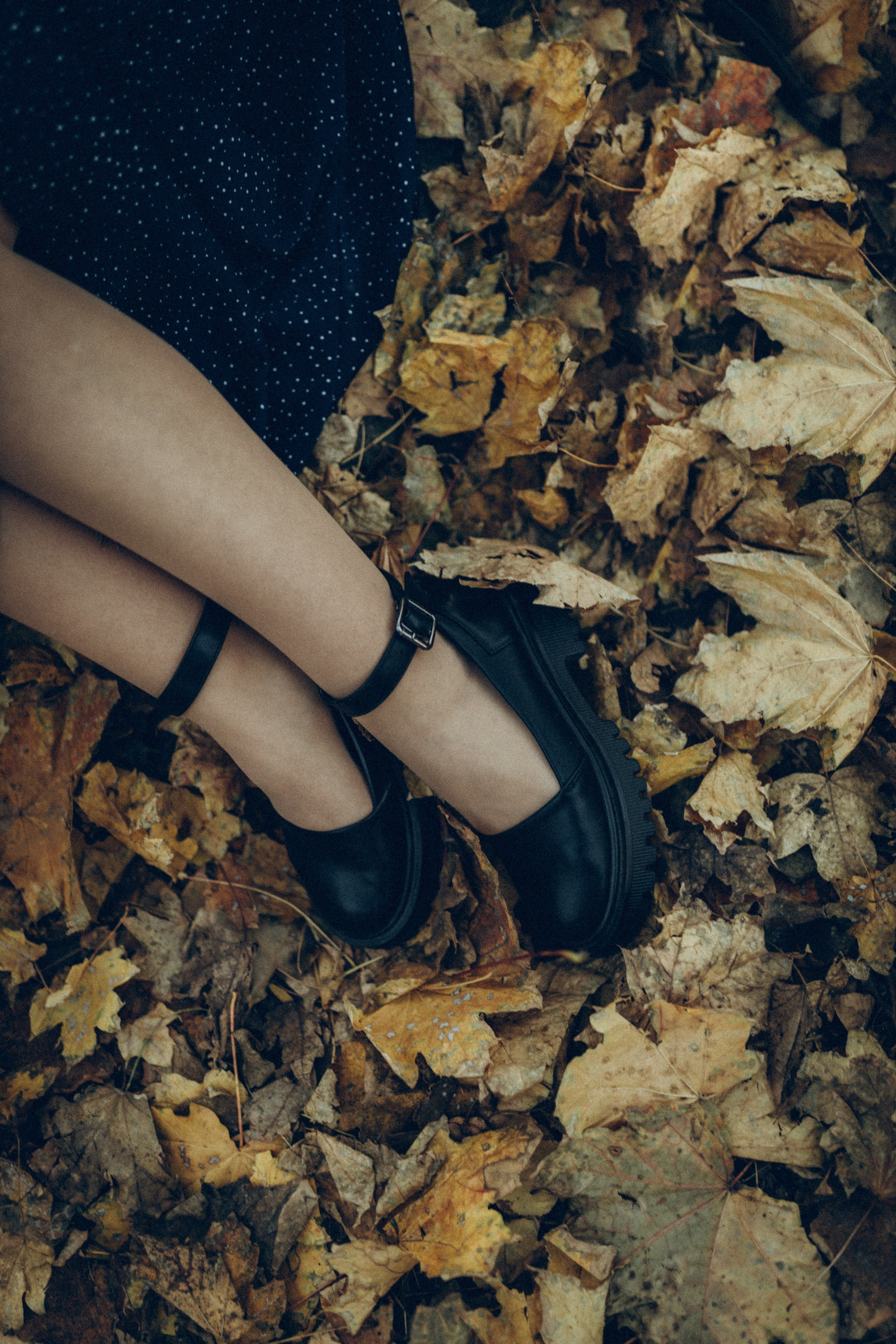 Осень. Любовь. Семейный фотограф и фотограф на роды в Ростове-на-Дону Мухина Виктория