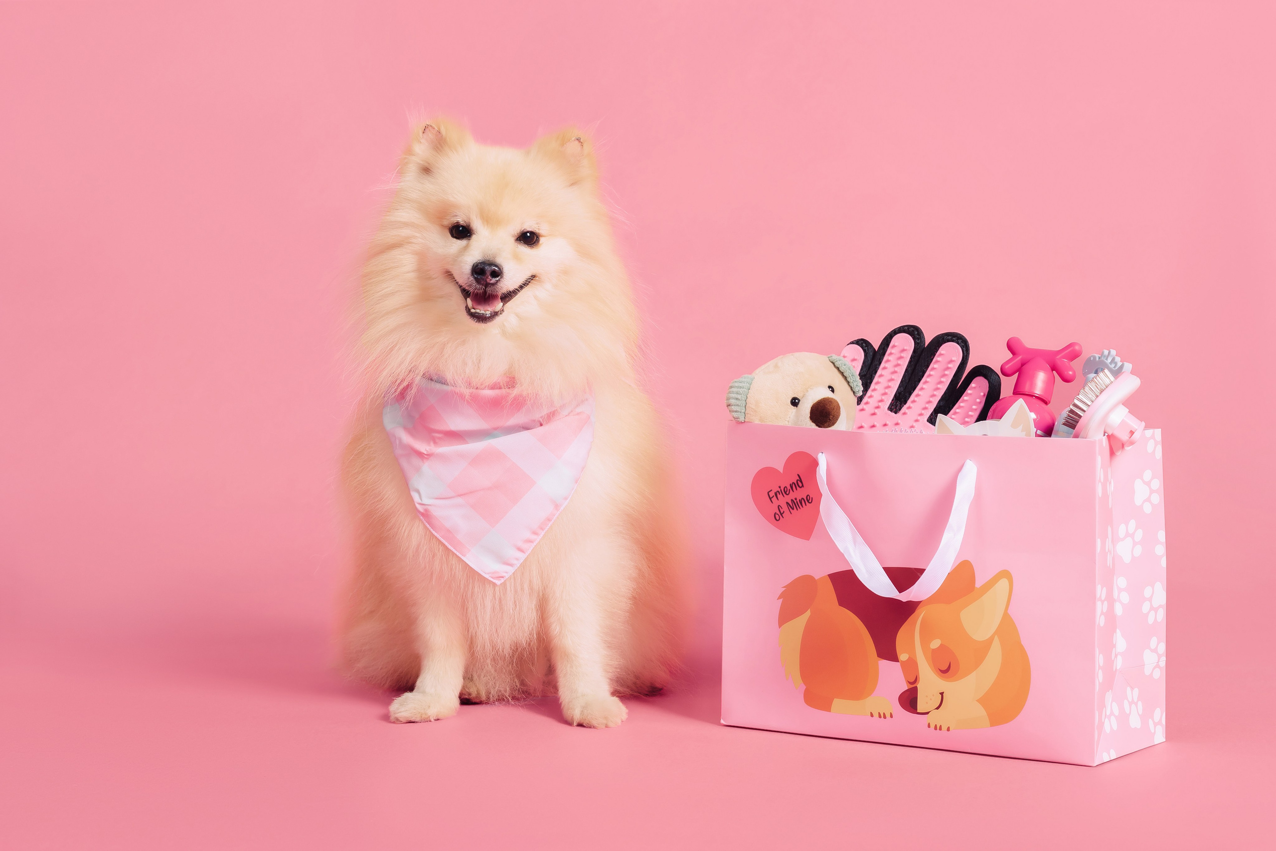 Магазин Friend of mine. Фотограф-анималист Елена Радченко, Москва