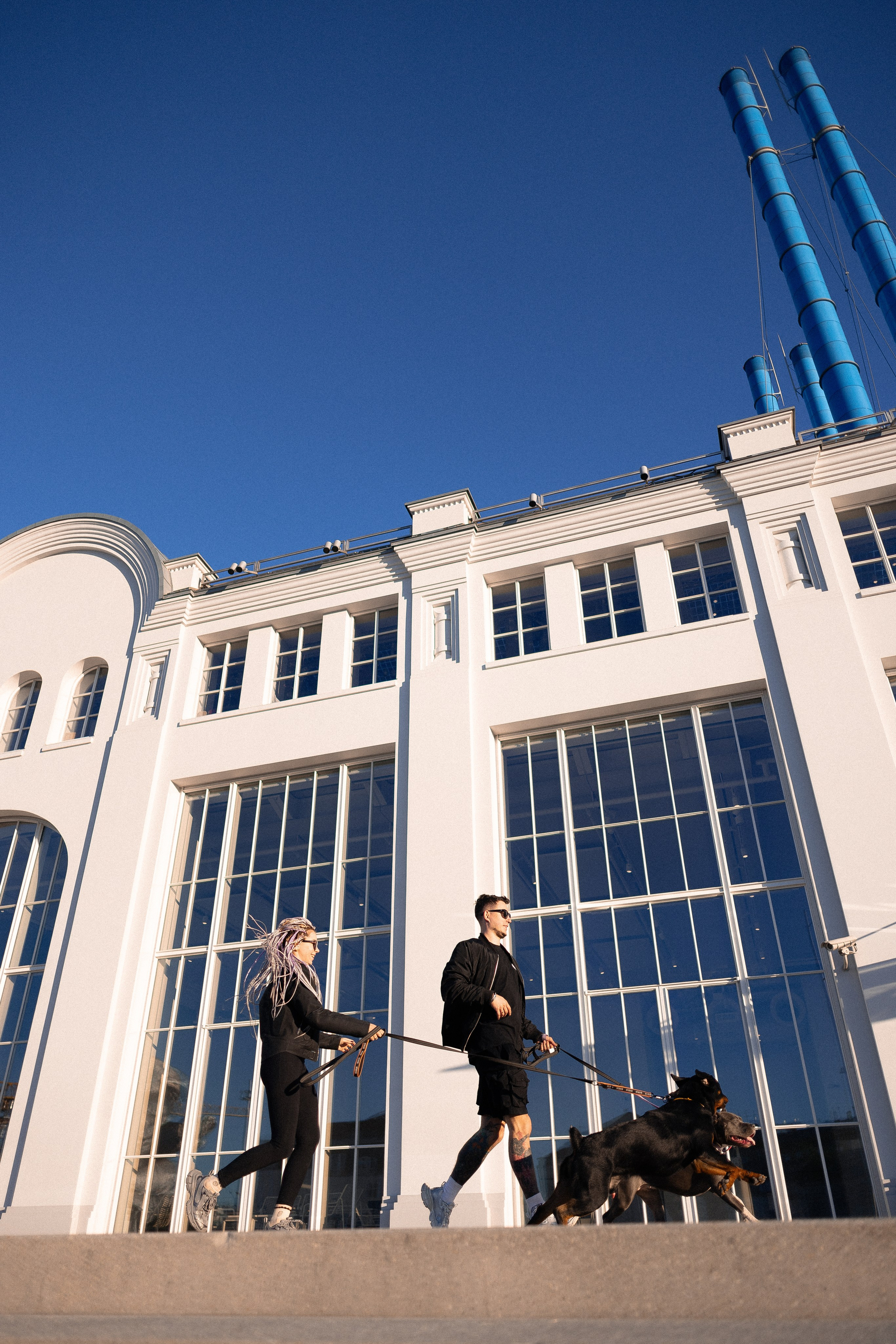 Катя, Леша, Трой и Лея. Фотограф и видеограф анималист Аганина Дарья