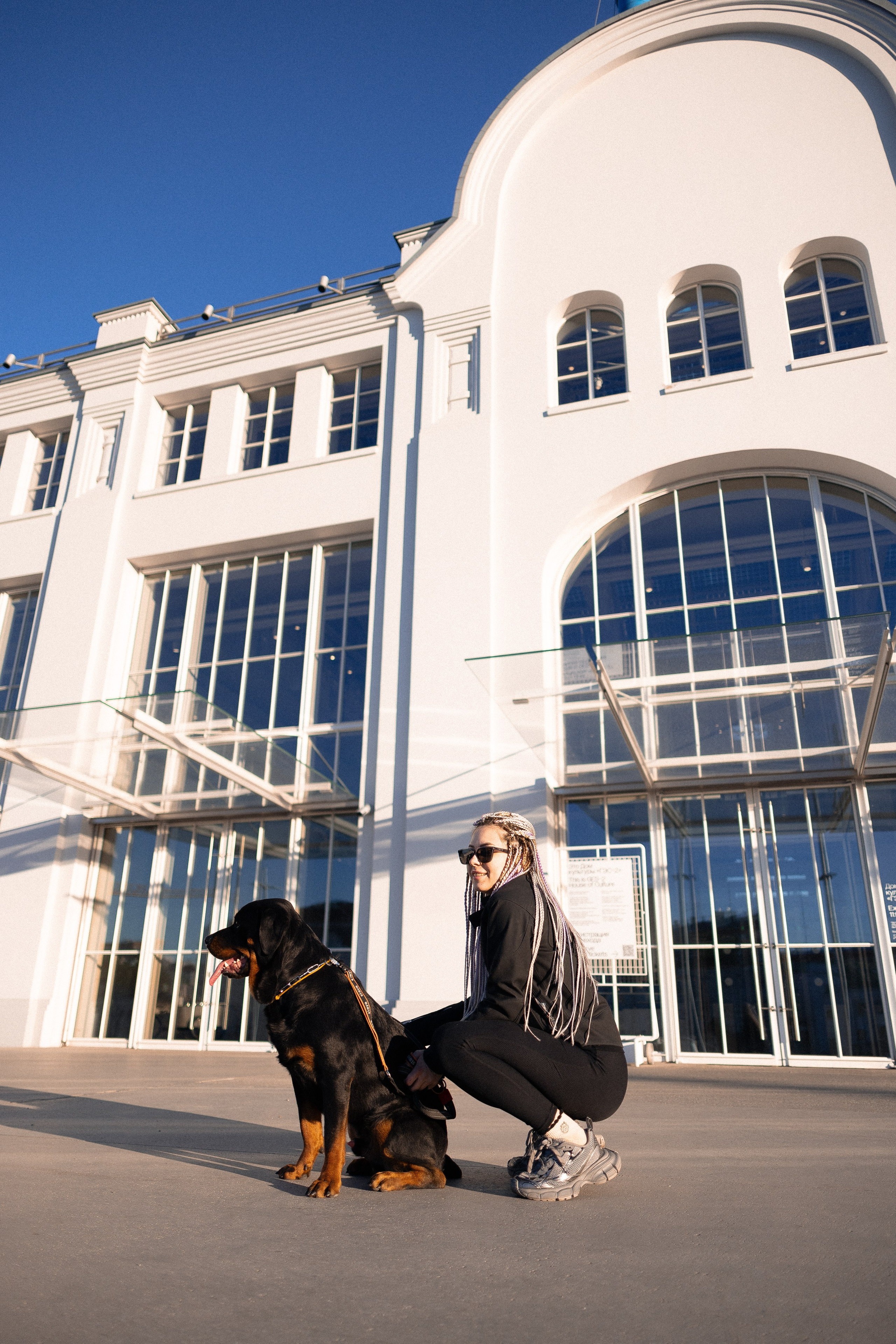 Катя, Леша, Трой и Лея. Фотограф и видеограф анималист Аганина Дарья