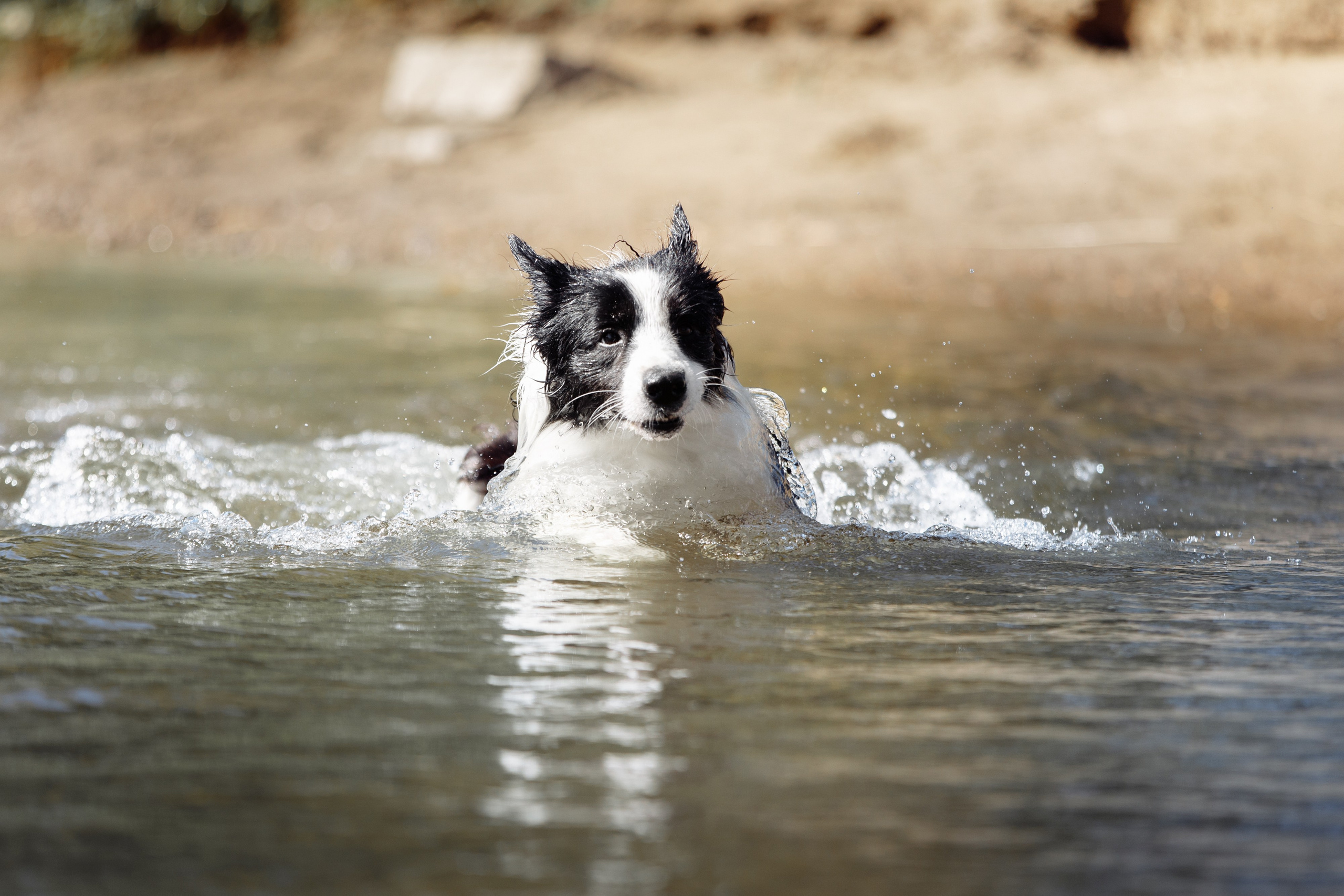 Водяные в Новотроицке. О нас