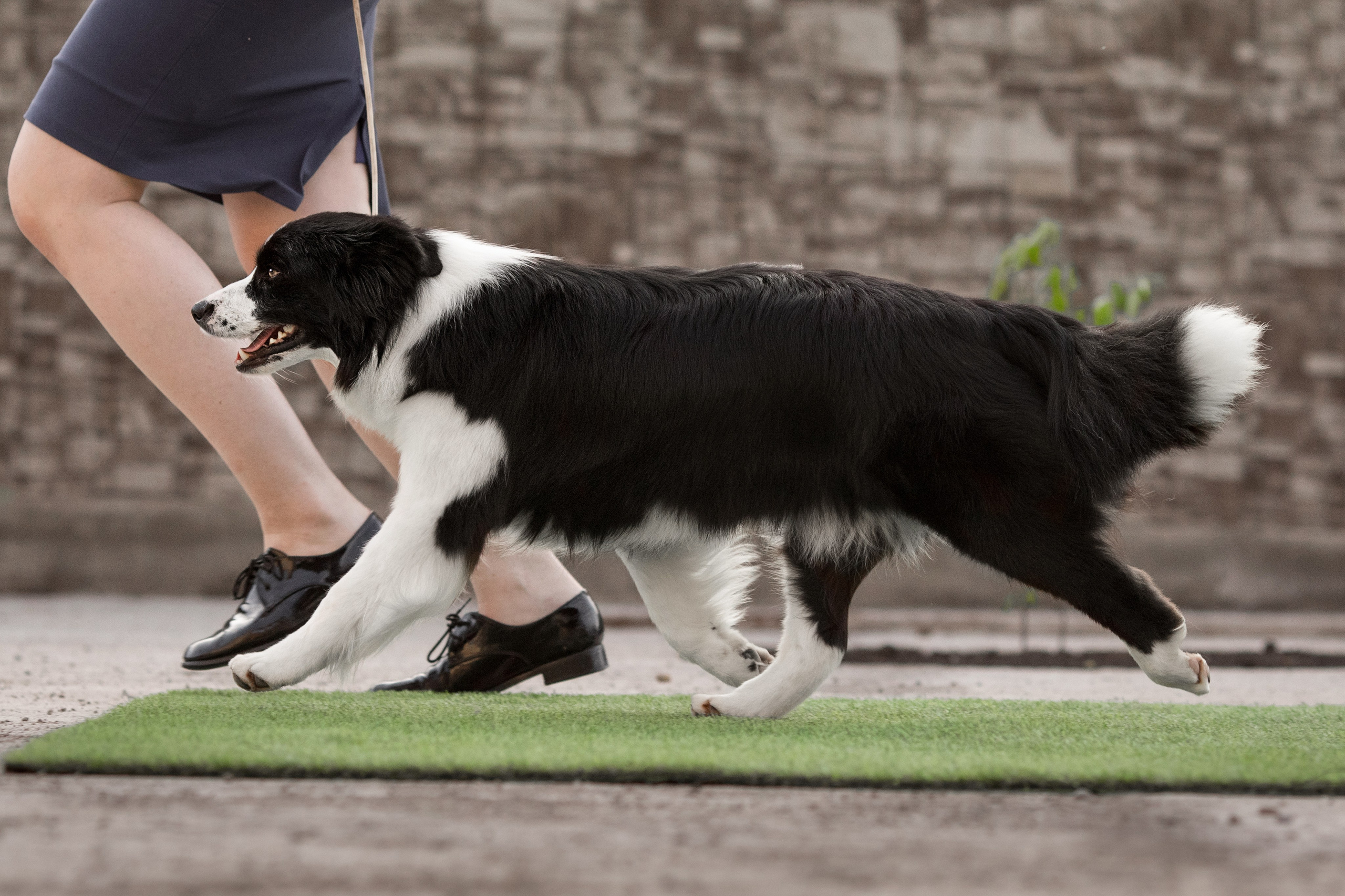 Роскошь в ростошах. О нас