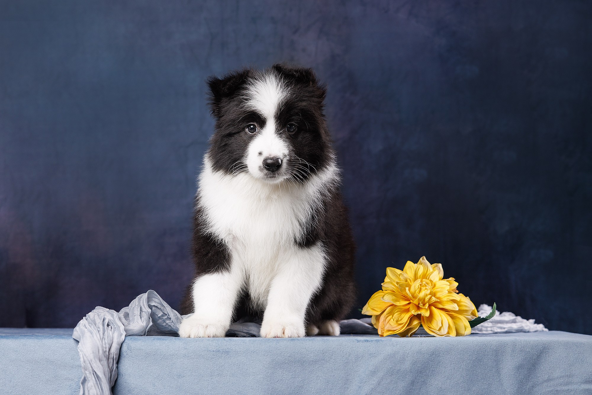 На водной основе. О нас