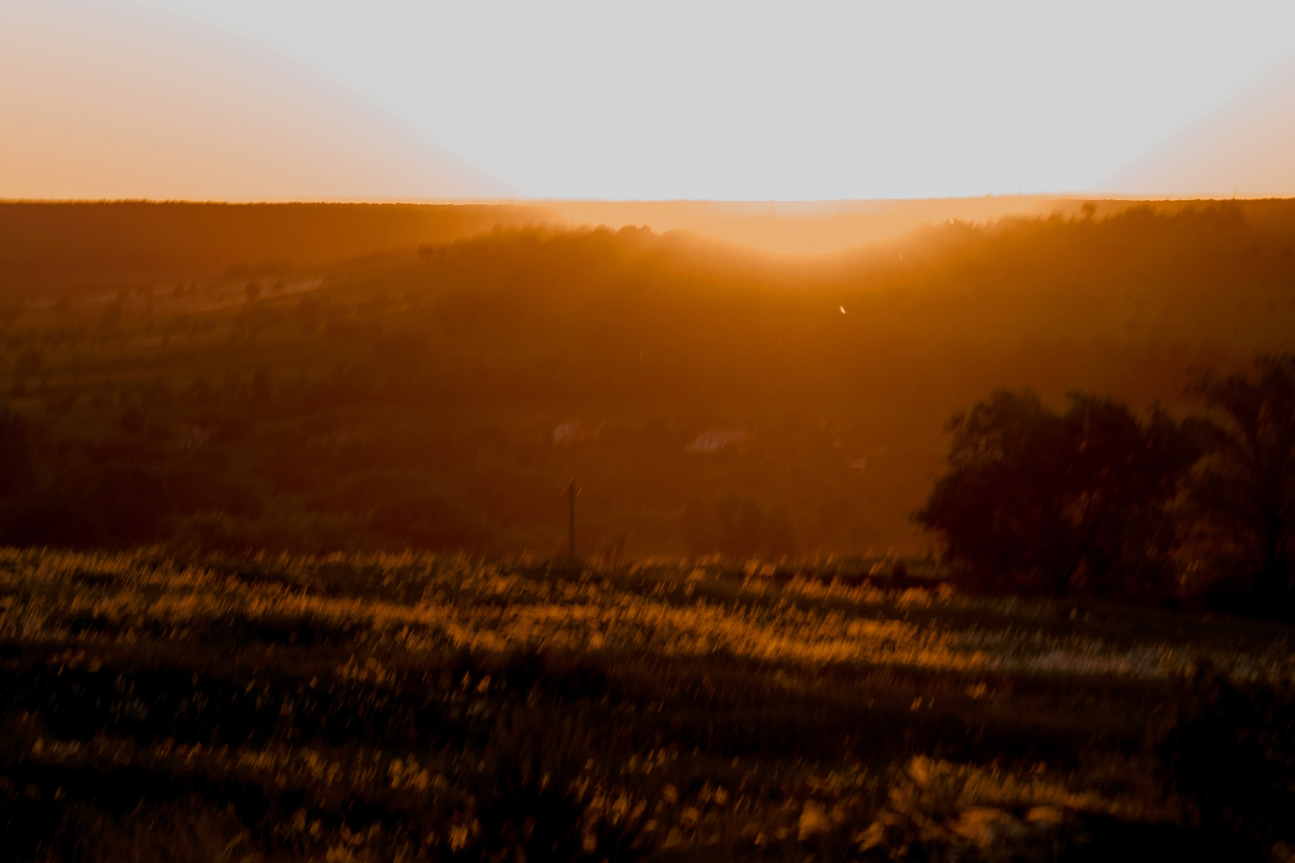 Егор и Лиза. Свадебный фотограф Воронеж Марина Грудинина