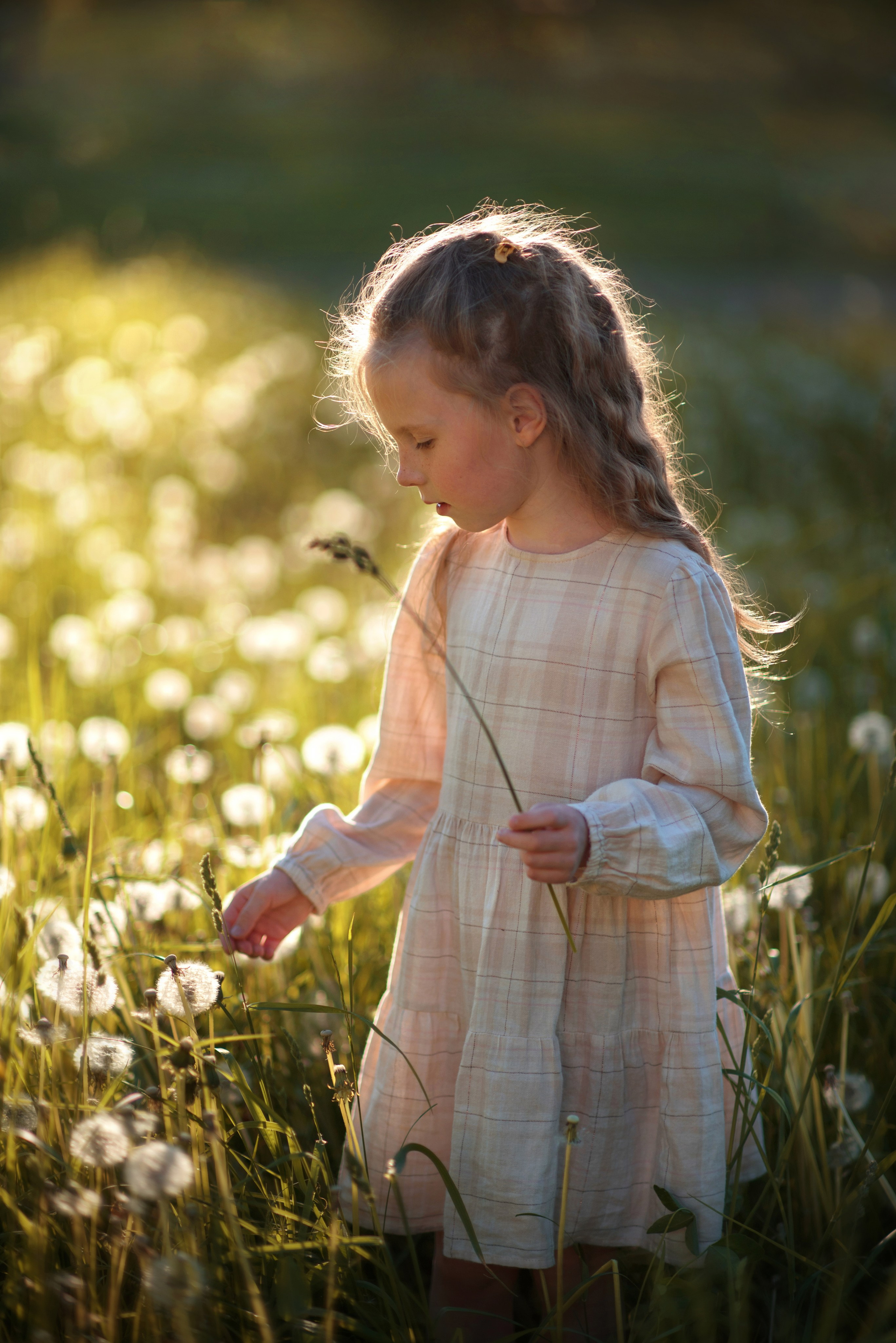 Детская летняя фотосессия в Сыктывкаре детский фотограф лето Сыктывкар. Фотограф новорождённых детский фотограф Сыктывкар Наталья Линдт