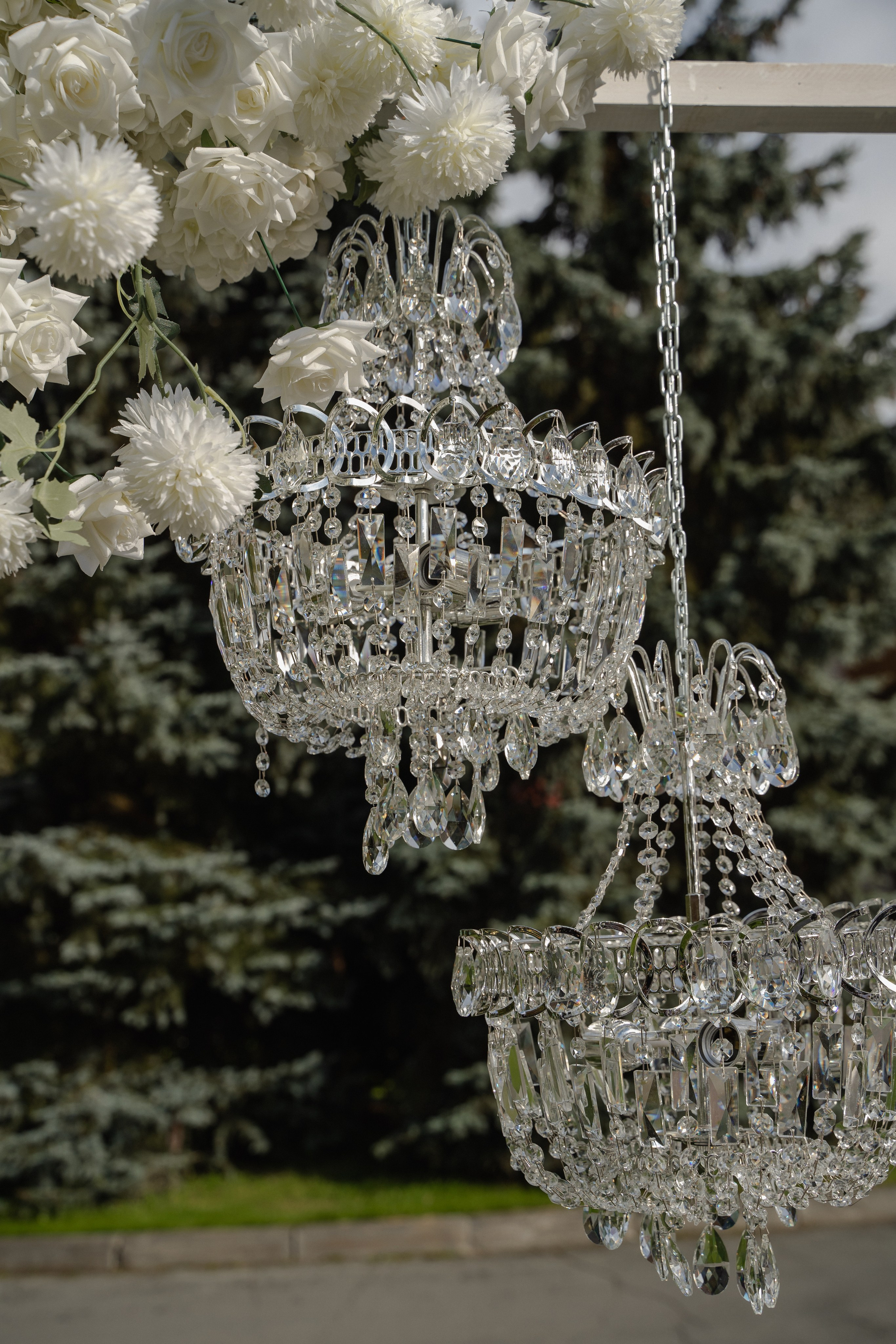 Любовь и Артур. Сосновый бор. Фотограф Аля Овчарова