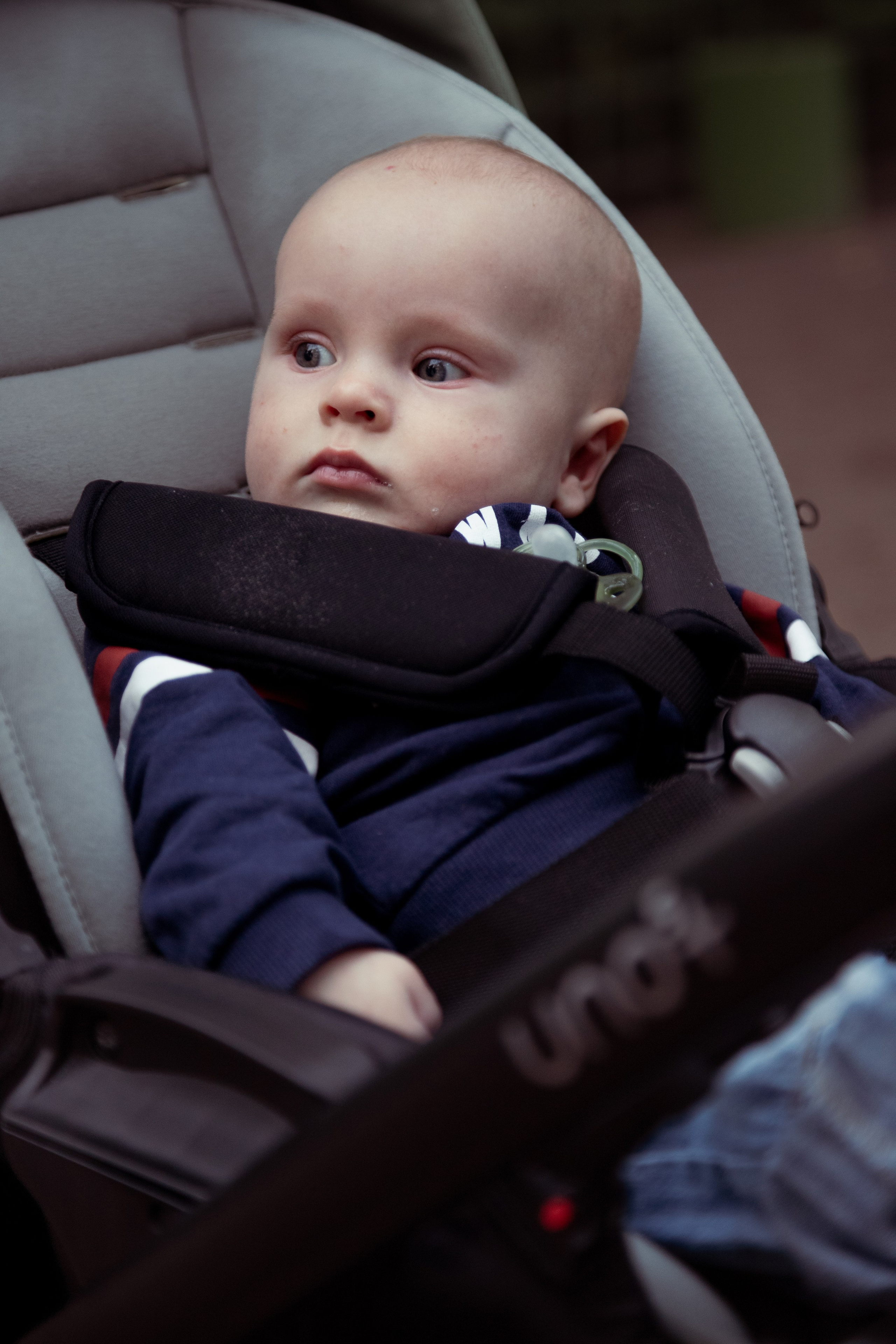 Семейная фотосессия. Фотограф Полозов