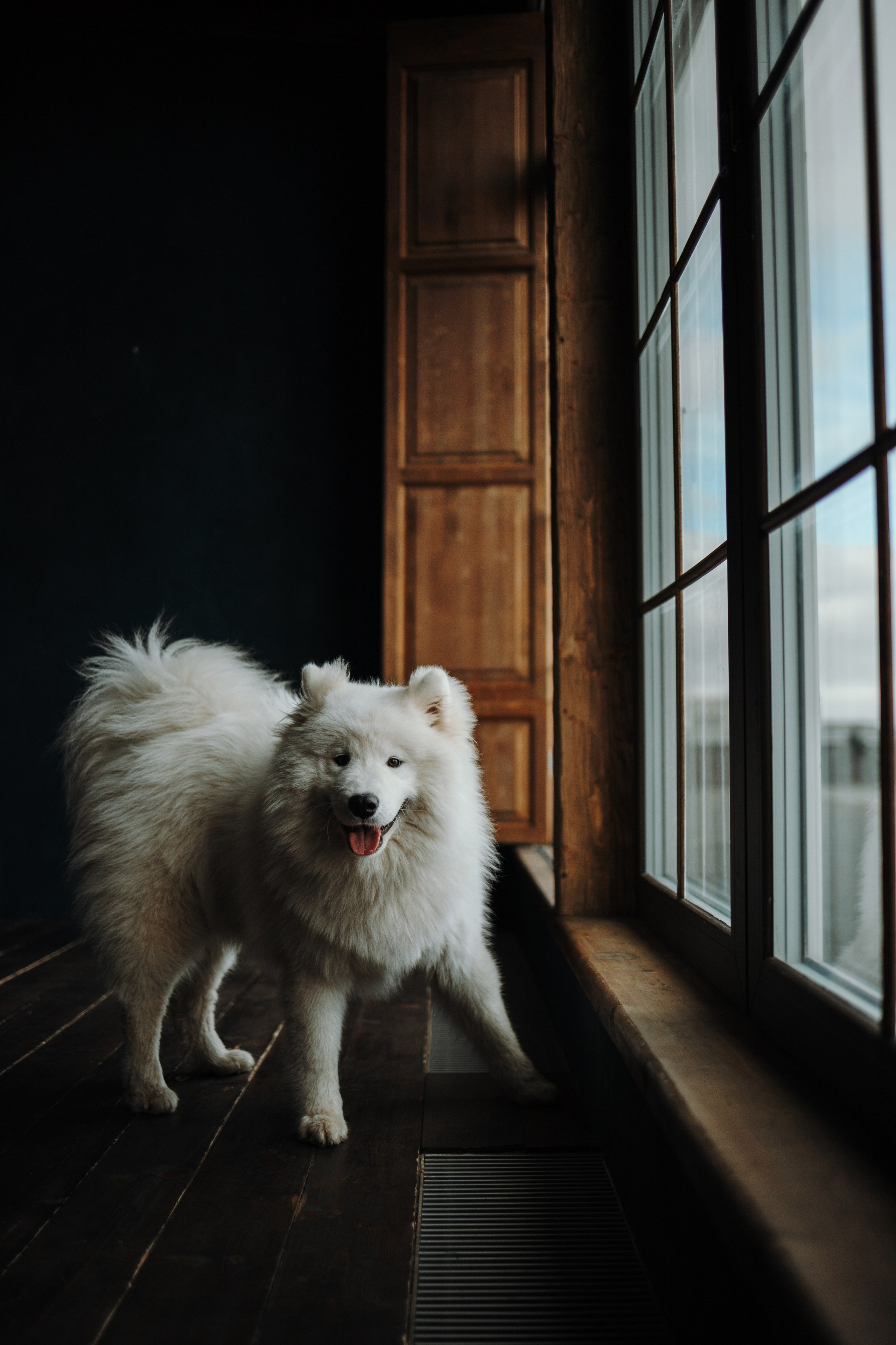 Марина и Мушу. Фотограф — Анималист | Санкт-Петербург