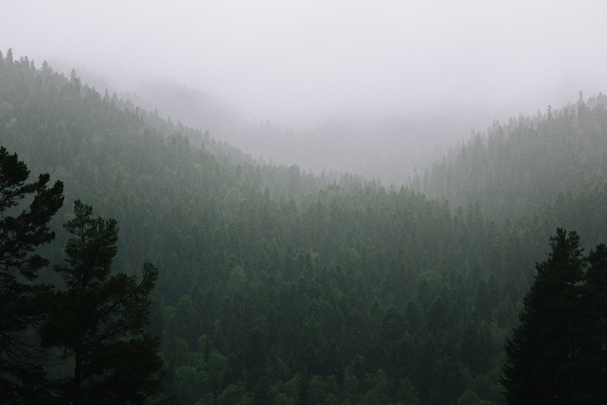 Мы — начало. Свадебный и репортажный фотограф Новороссийск, Краснодар, Сочи Олеся Дзюба