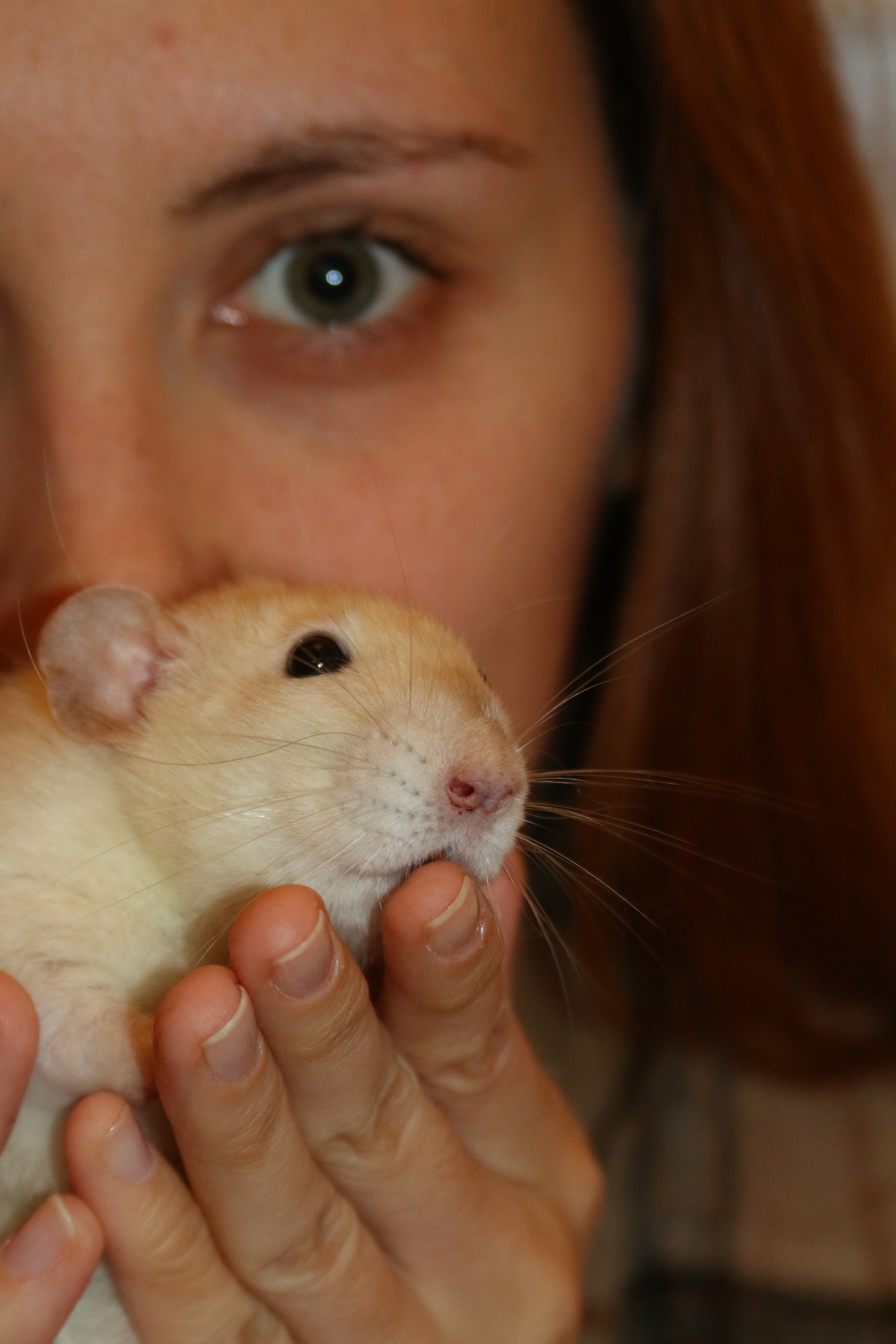 Съемка с питомцем