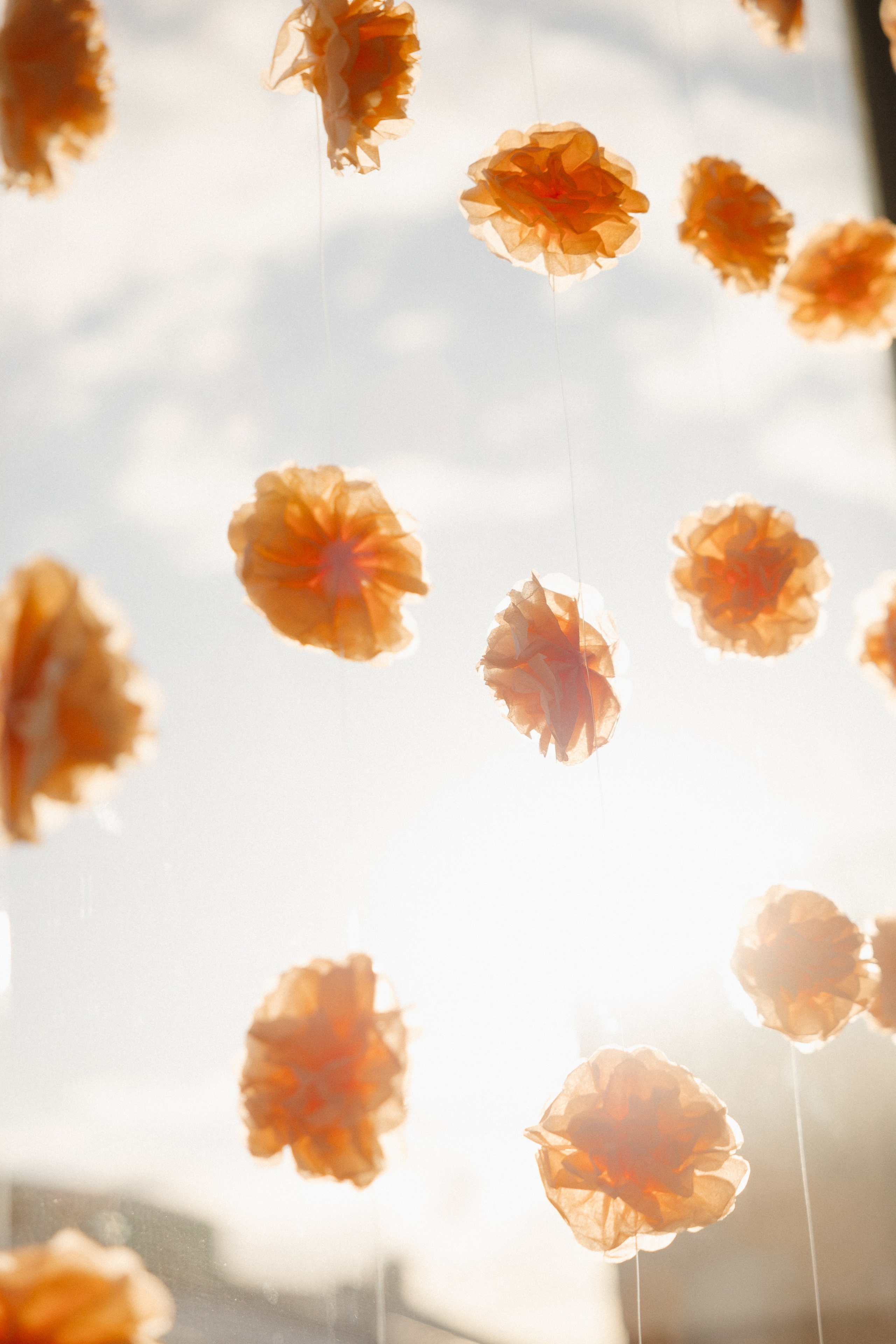 S|V. Свадебный фотограф Таня Караисаева