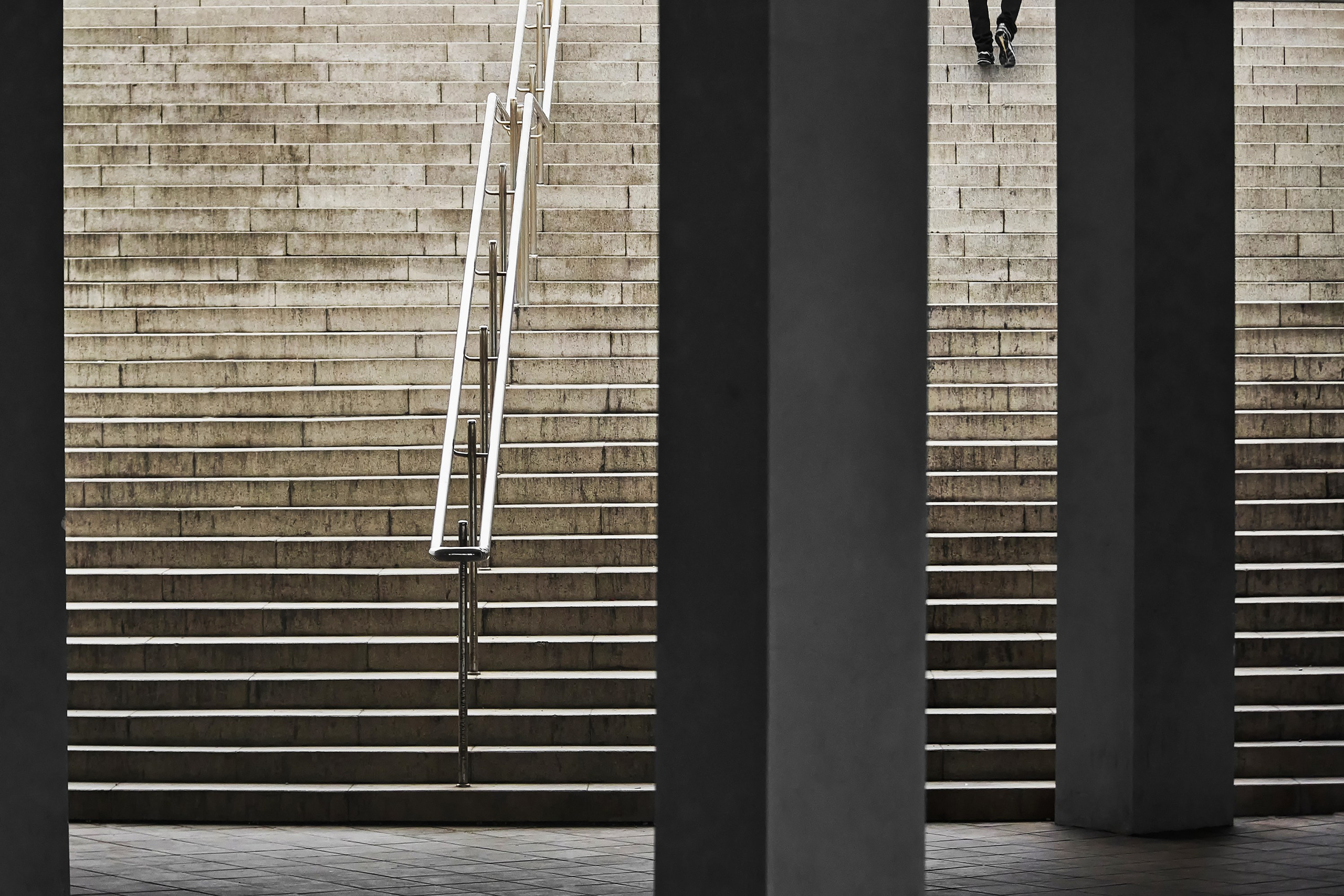 Жизнь, люди, стрит, вокруг, животные, на улице. Яркие фото на Чёрном море