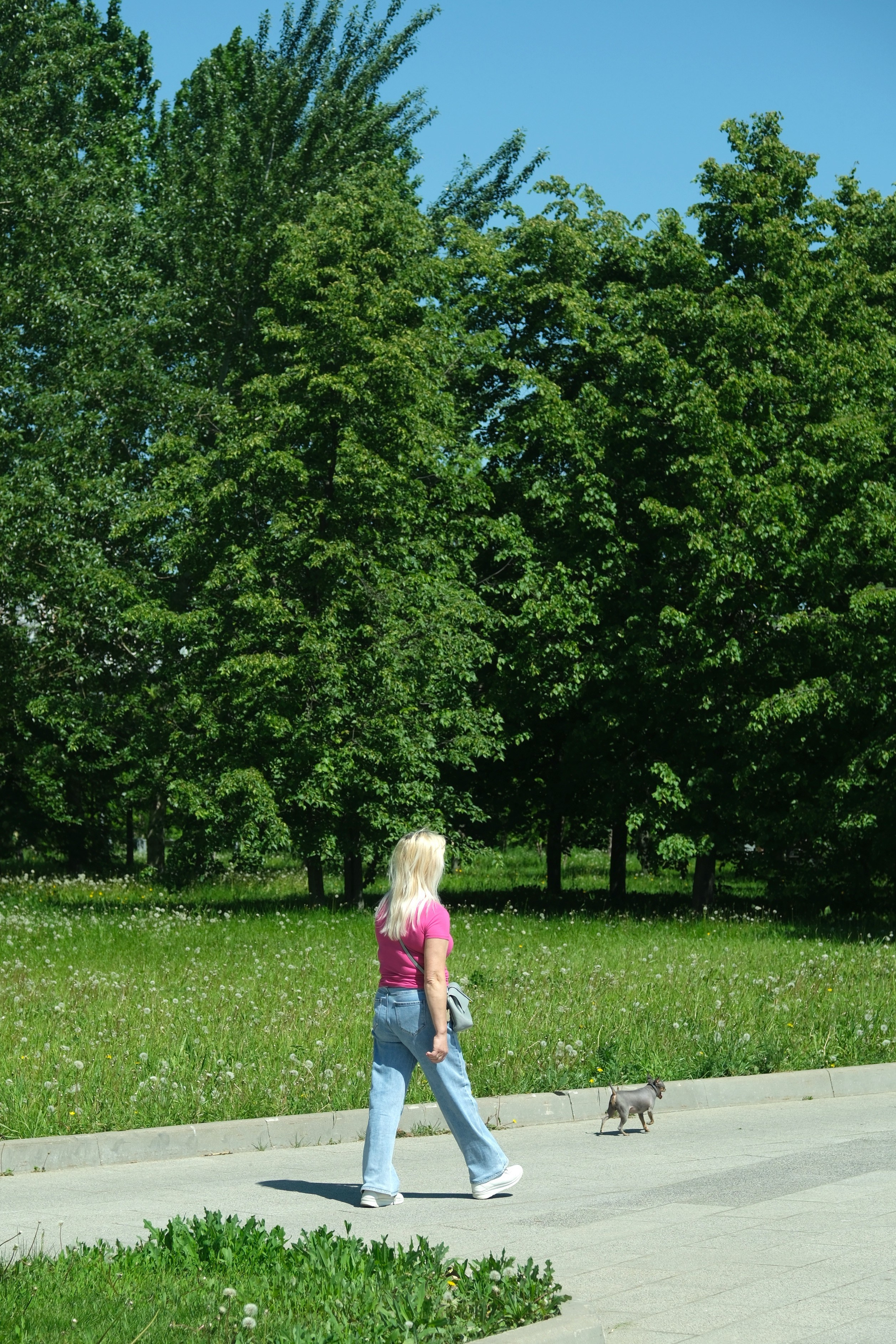 Парк 850 лет Москве. Улица, люди, жизнь…