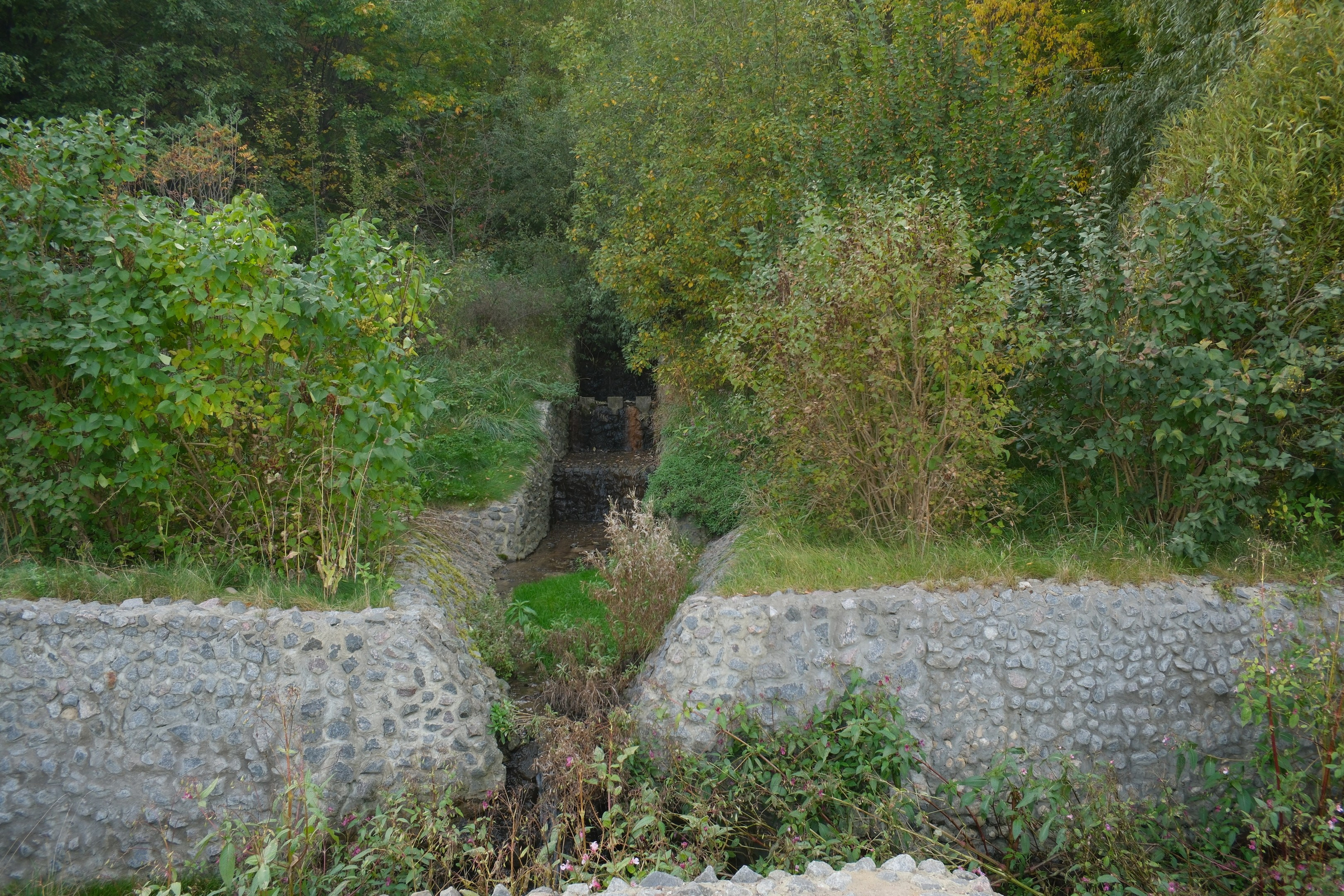 Коломенское 04.10.2025. Улица, люди, жизнь…