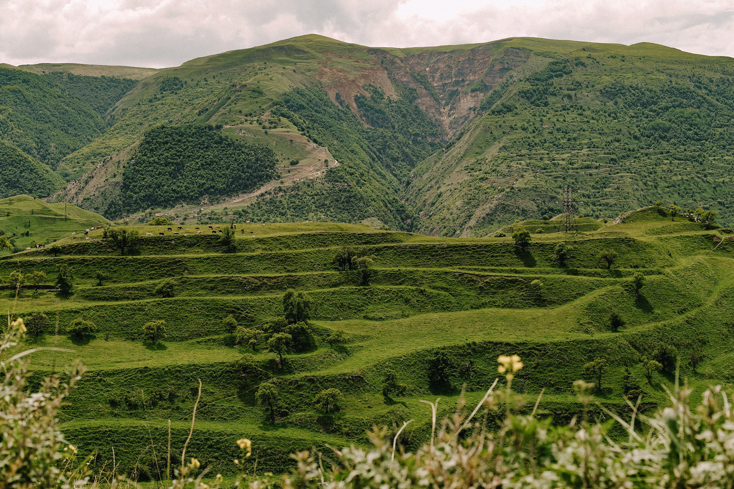 Организатор Авторских Туров Жукова Алёна
