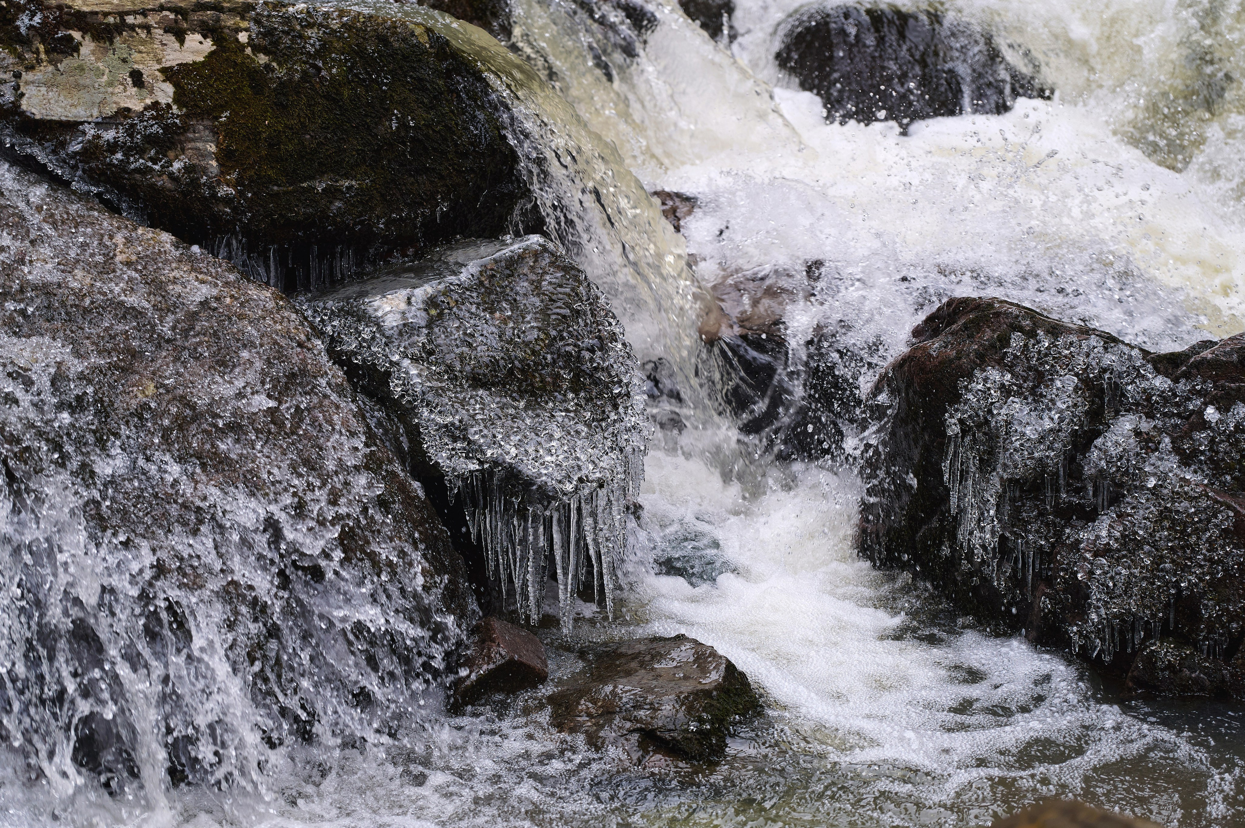 Антон и Наталья. Фотограф Опыт Качество Скорость Горный Алтай Барнаул
