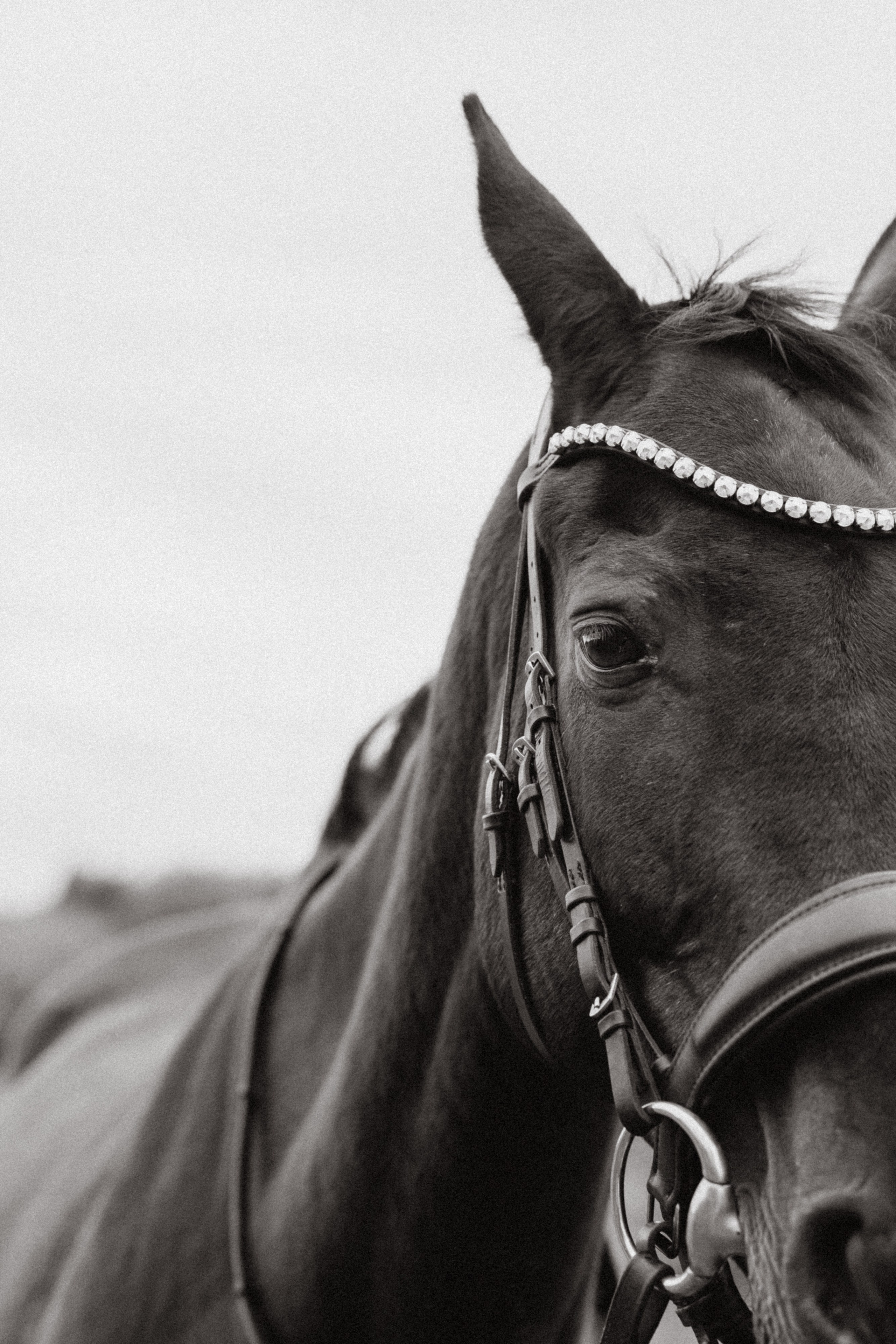 Алина. Фотограф Ульяна Дивина в Нижнем Новгороде и Нижегородской области