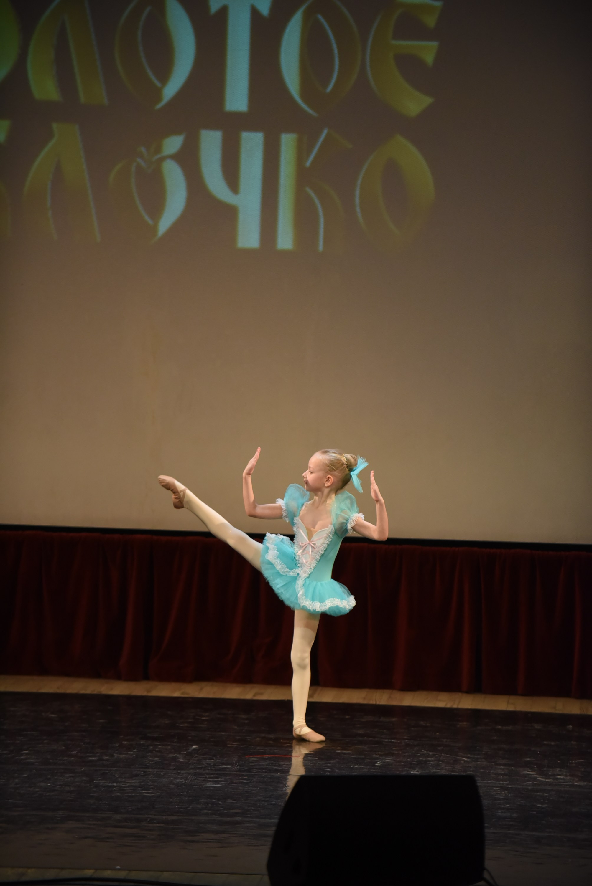 17 ноября, 3 блок, г. Москва. Золотое яблочко