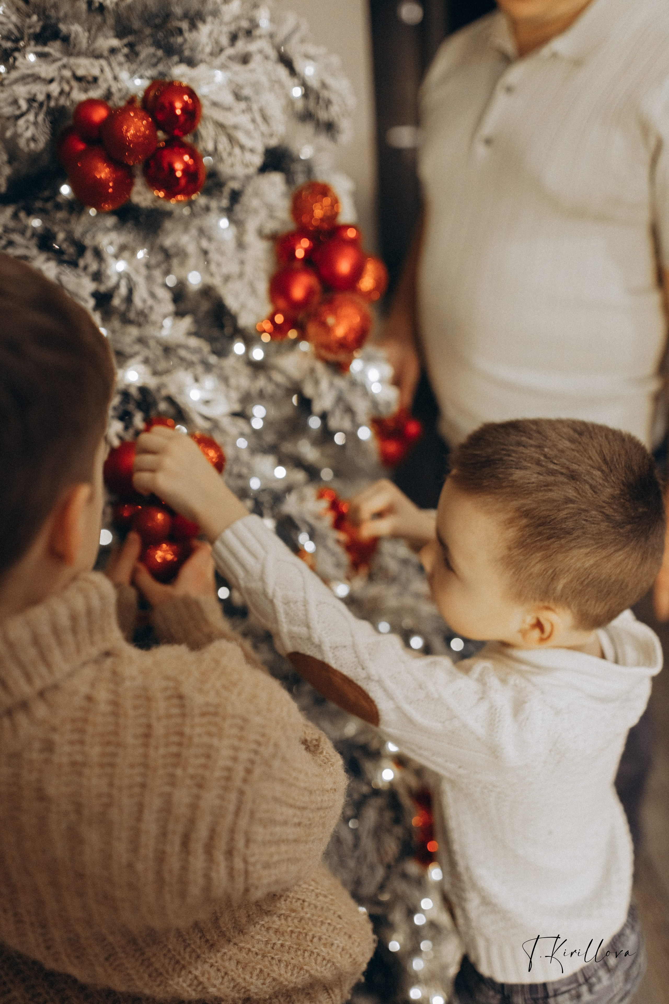 Новогоднее утро. Фотограф-анималист в Москве Кириллова Татьяна
