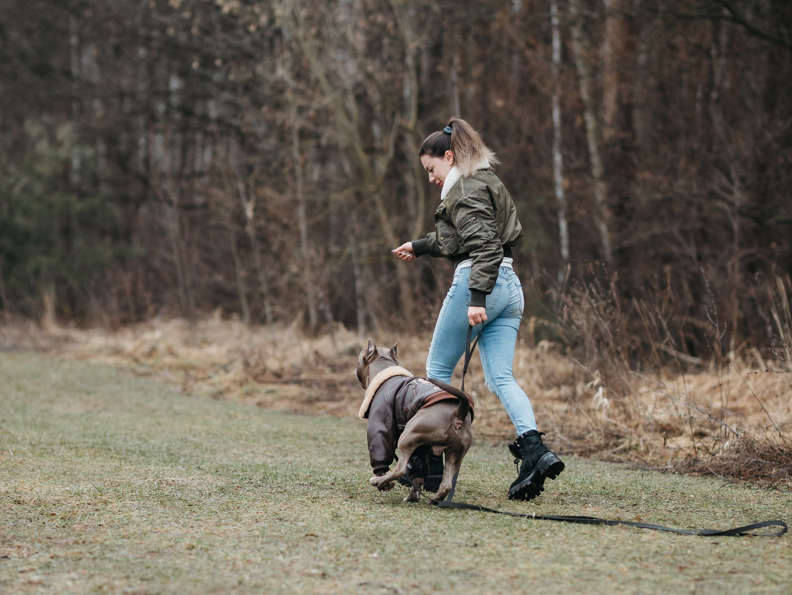 Зевс и Мария. Фотограф-анималист в Москве Кириллова Татьяна