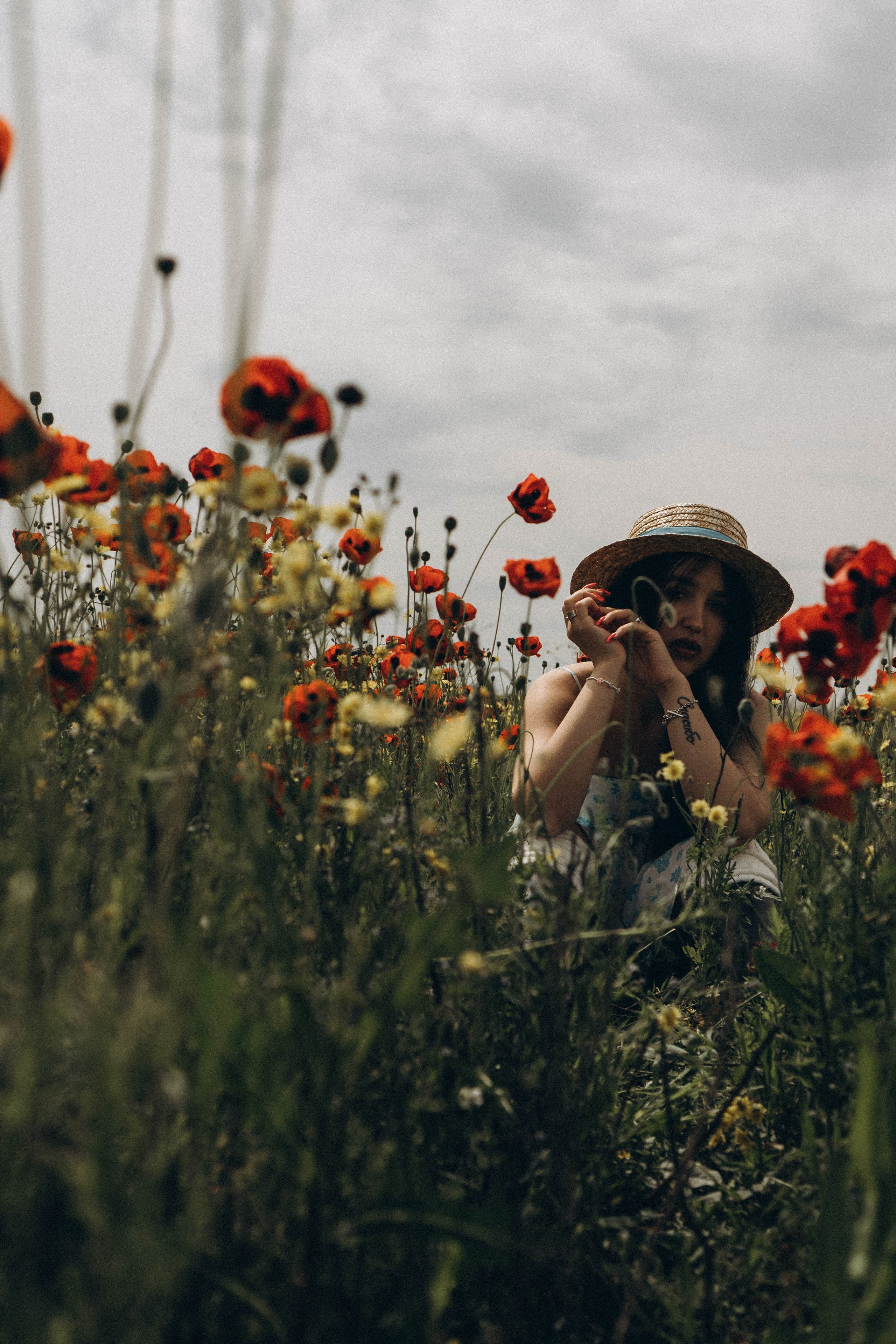 Цветочная поляна. Профессиональный фотограф, Санкт-Петербург — Виктория Богомолова
