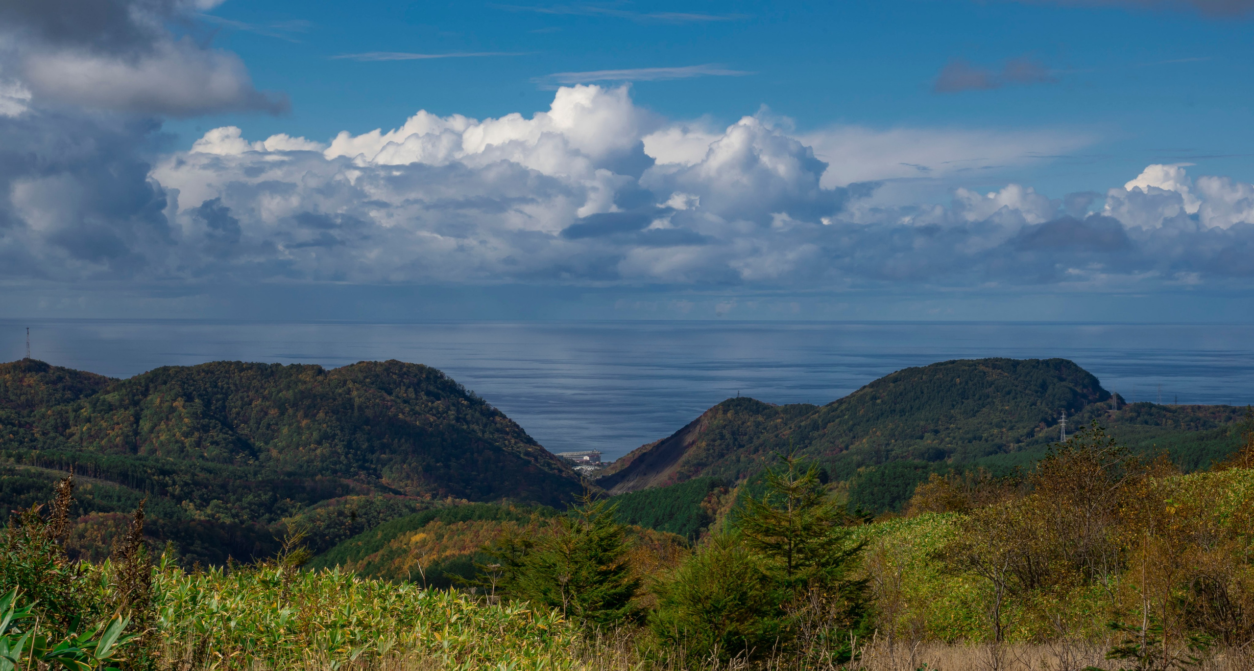 НАД ВОДОЙ. Фотограф Татьяна Андриянова