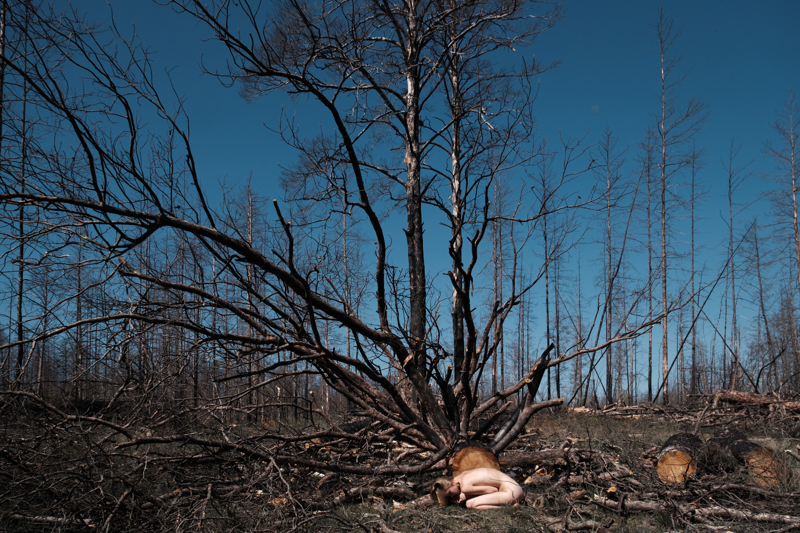 Горельник. Фотограф Коробова Екатерина