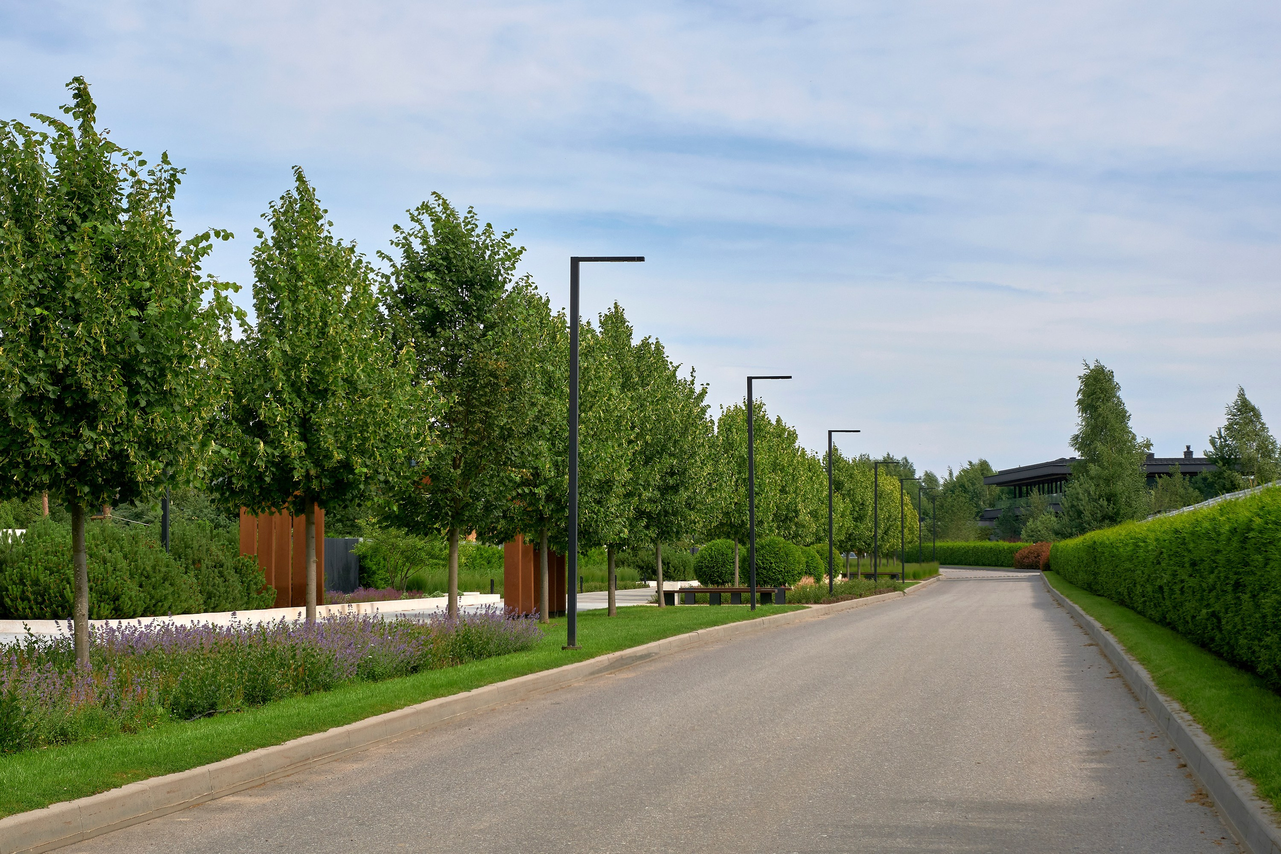 Ландшафтный и интерьерный фотограф Наталья Соловьева. Фотосъемка озеленения территории в КП Репинская Усадьба-4 для ландшафтной студии Аквилегия | interioto
