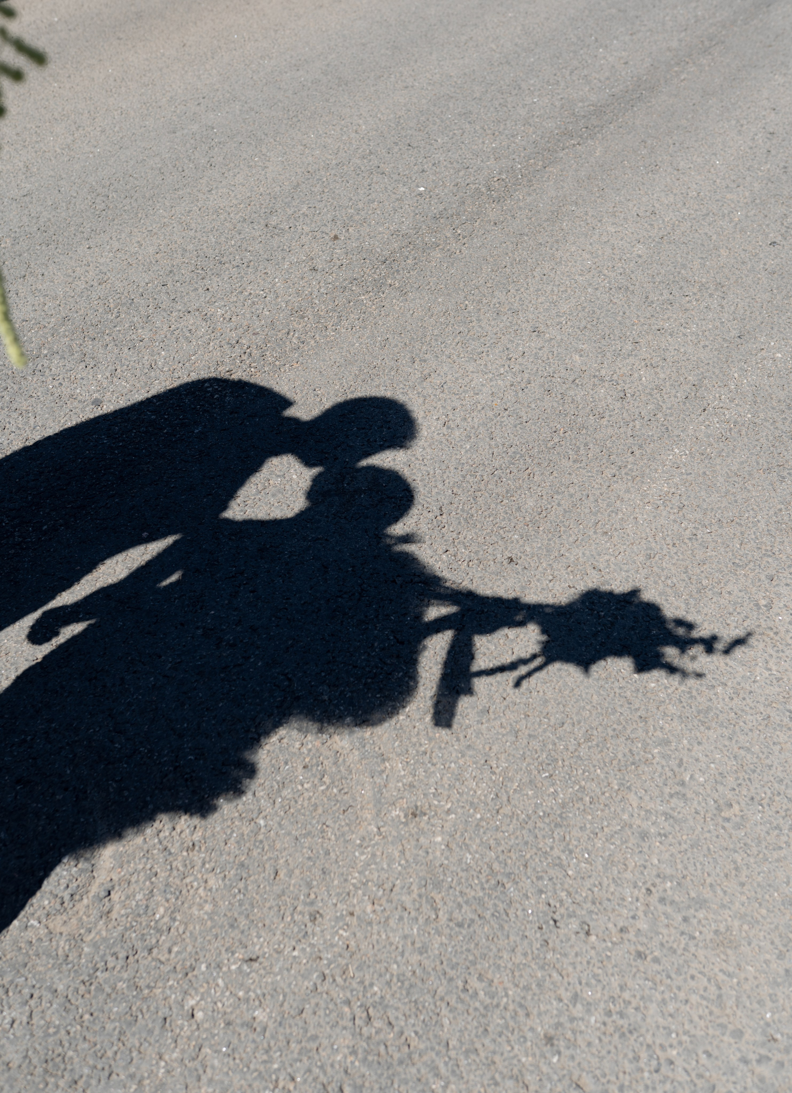 Марк + Маргарита. Свадебный и семейный фотограф в Москве/Калуге Юлия Мосиюк