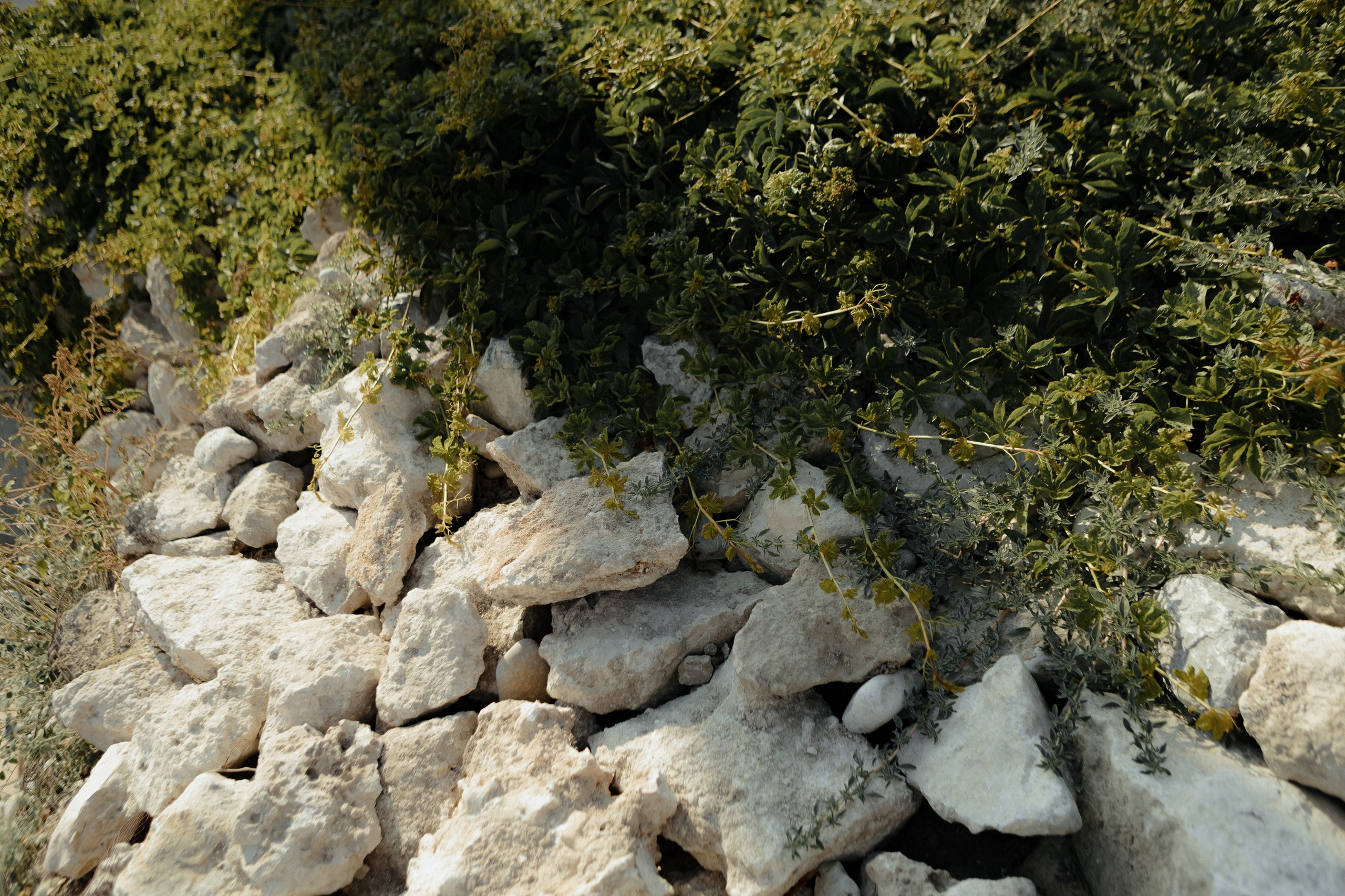 A&D. Фотограф в Батуми Павел Шарников