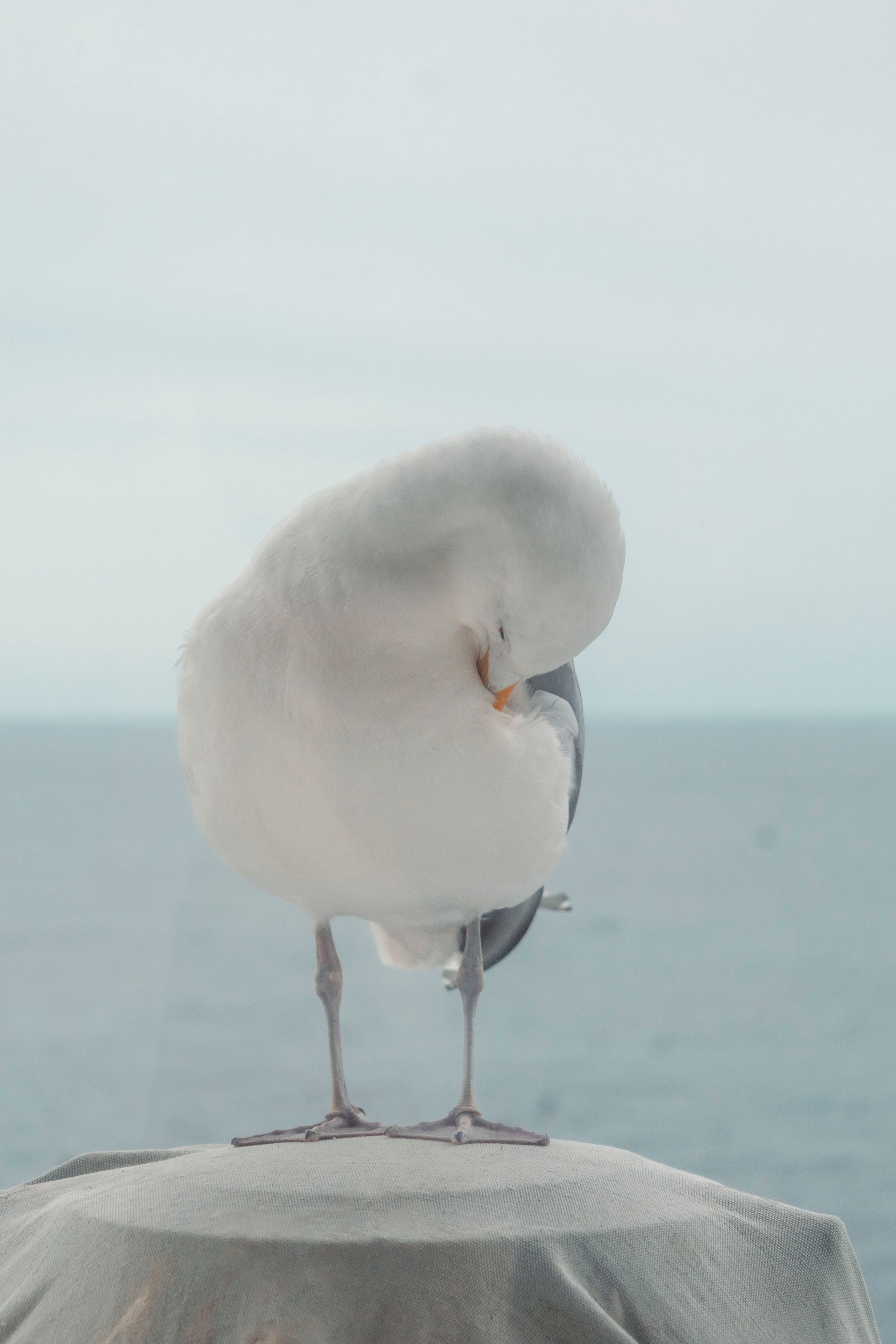 Когда я в море. Часть 2. Фотограф г. Владивосток